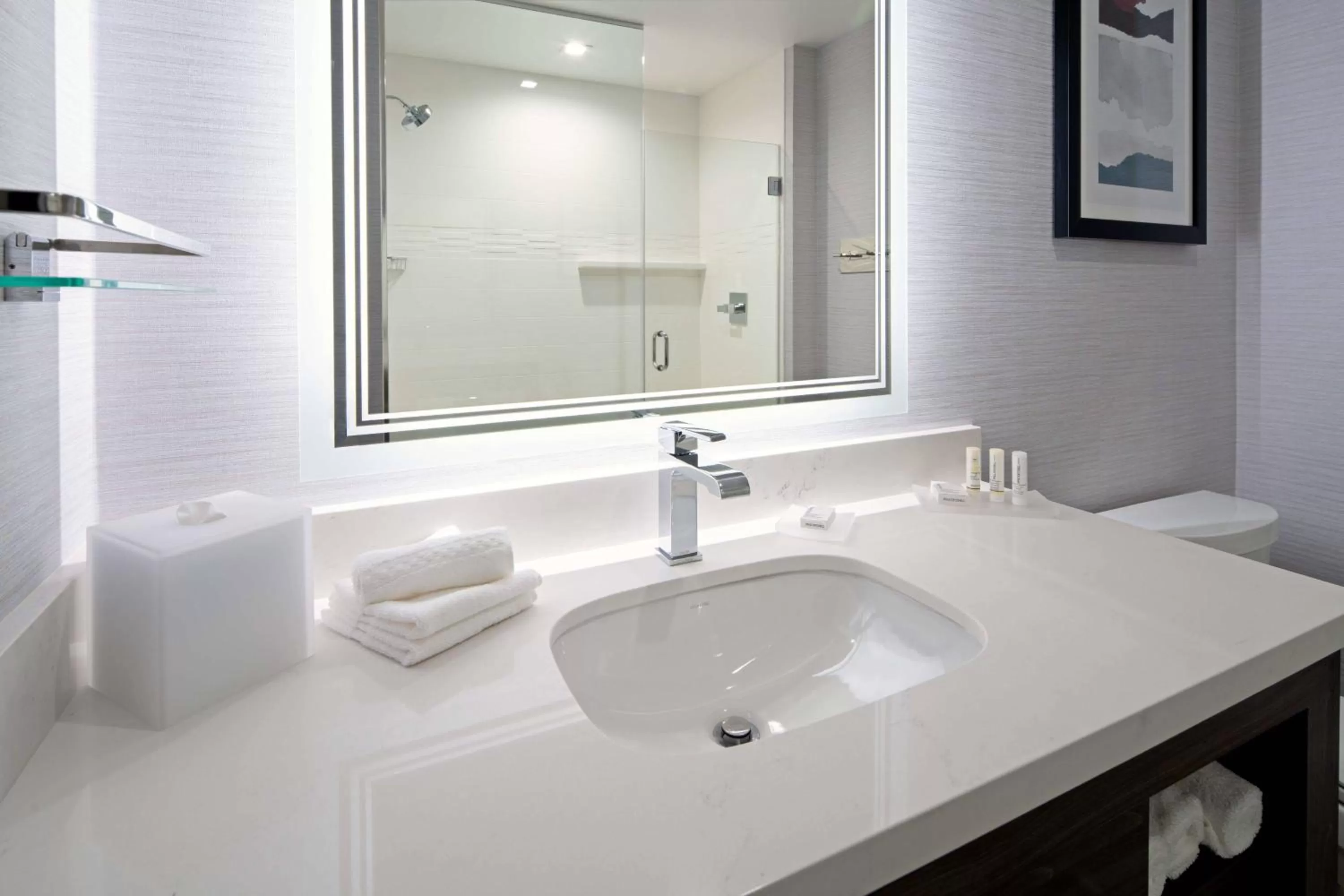 Bathroom in Residence Inn by Marriott Valencia