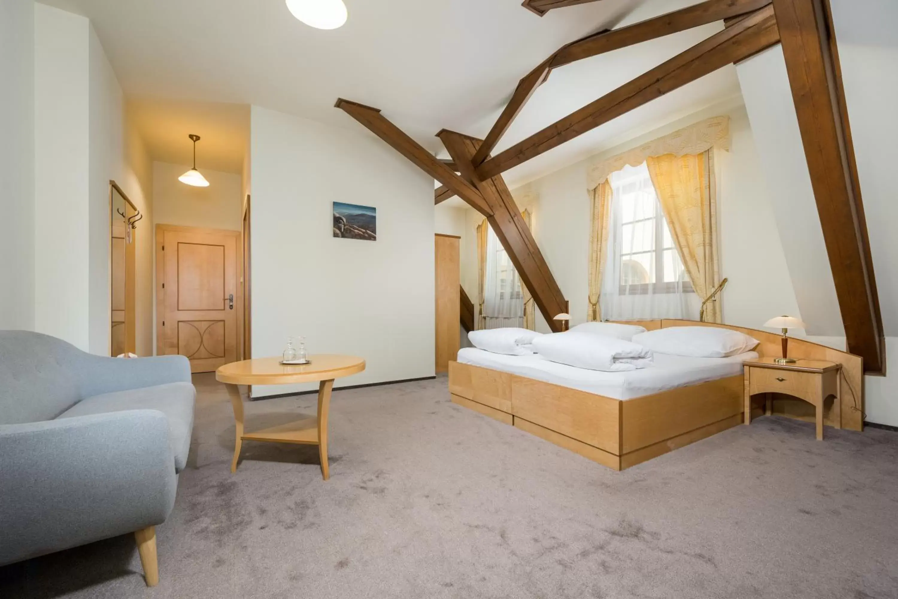 Suite - single occupancy in Hotel Zlaty Lev Suite - single occupancy in Hotel Zlaty Lev