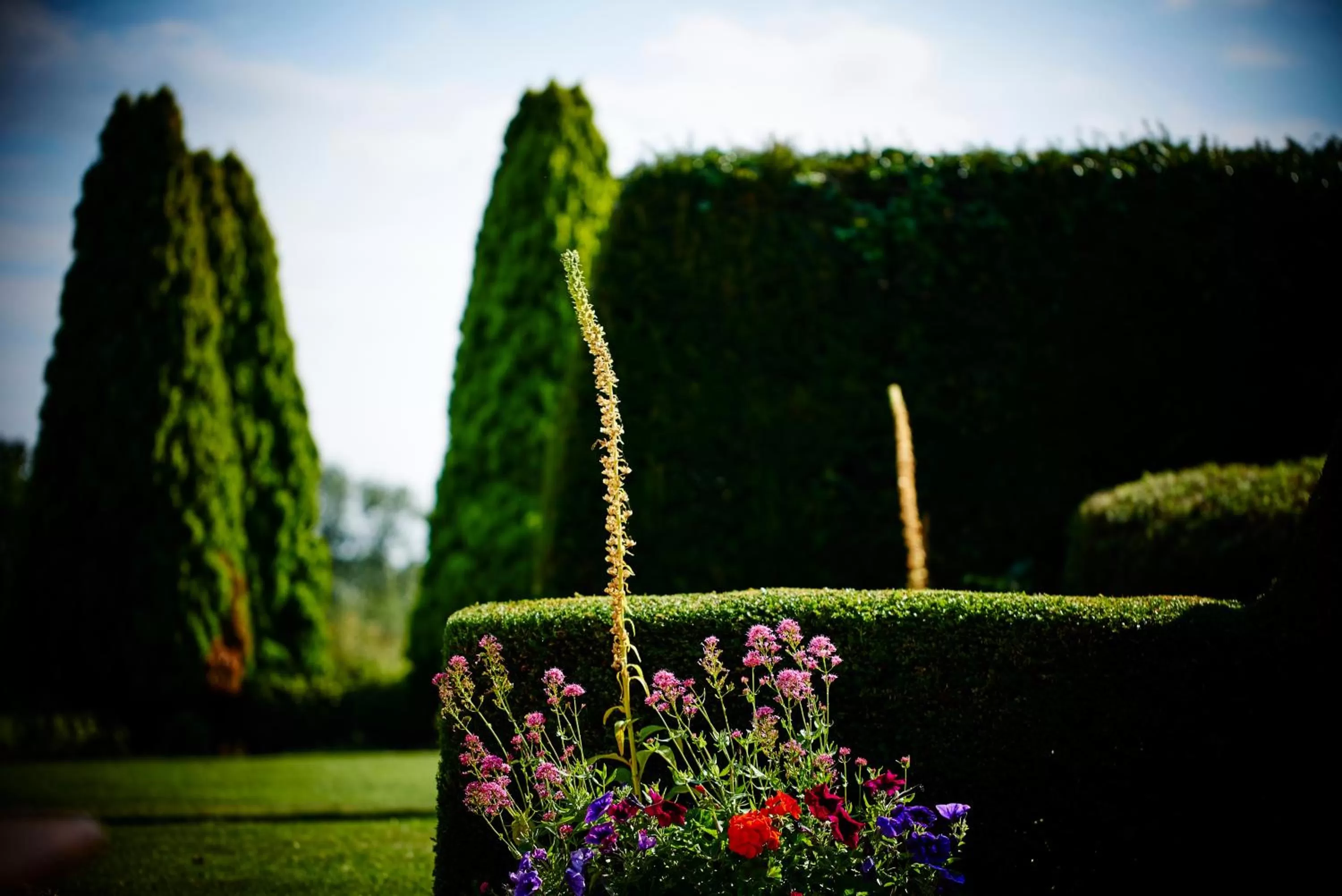 Garden in The Barnsdale, Rutland