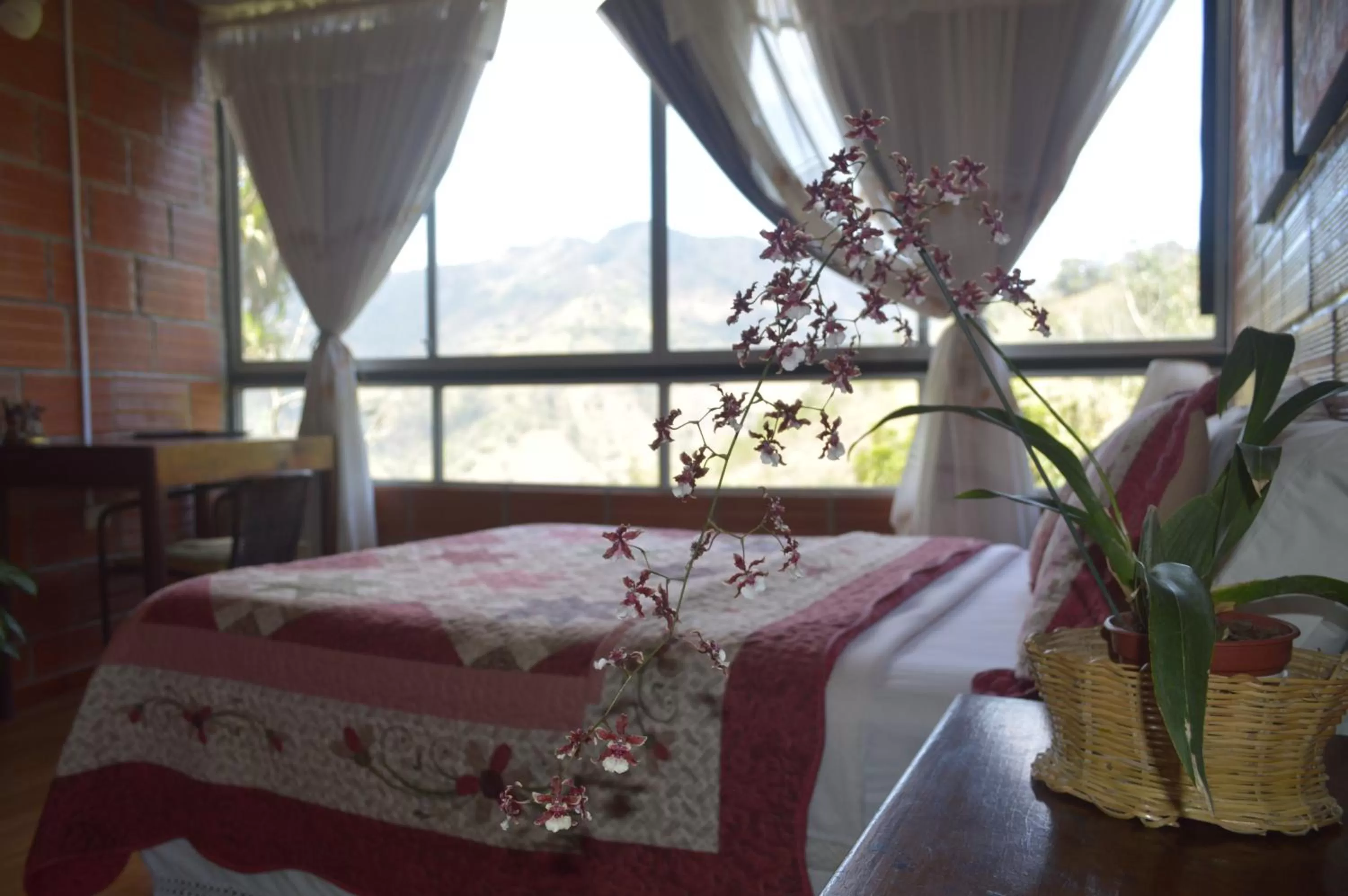 Bed in Hosteria Florecer