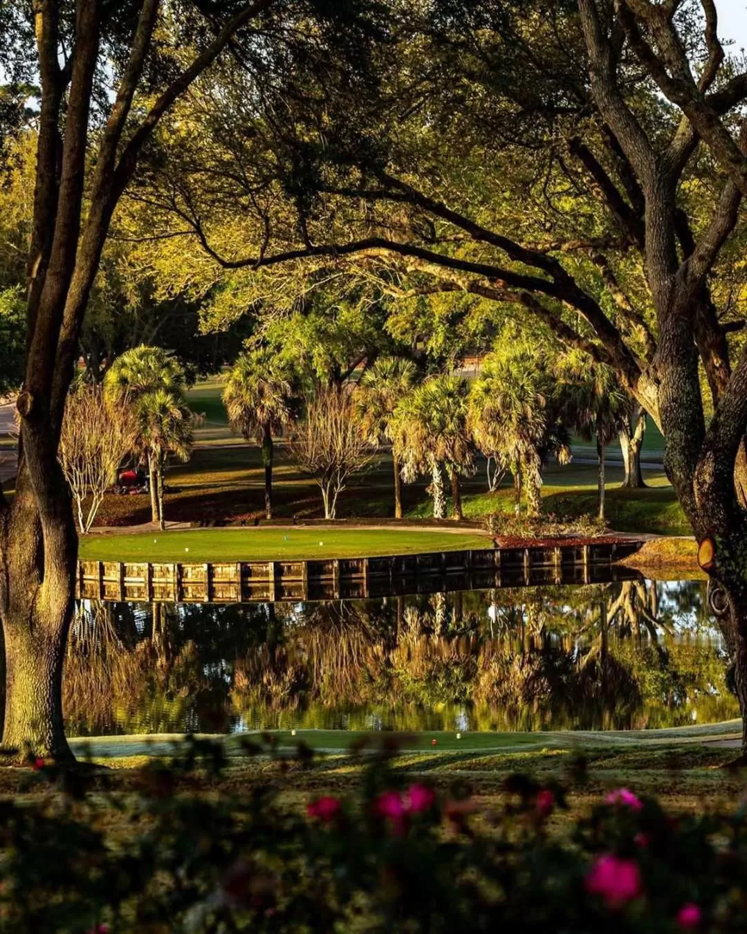 Natural landscape in Mission Resort and Club