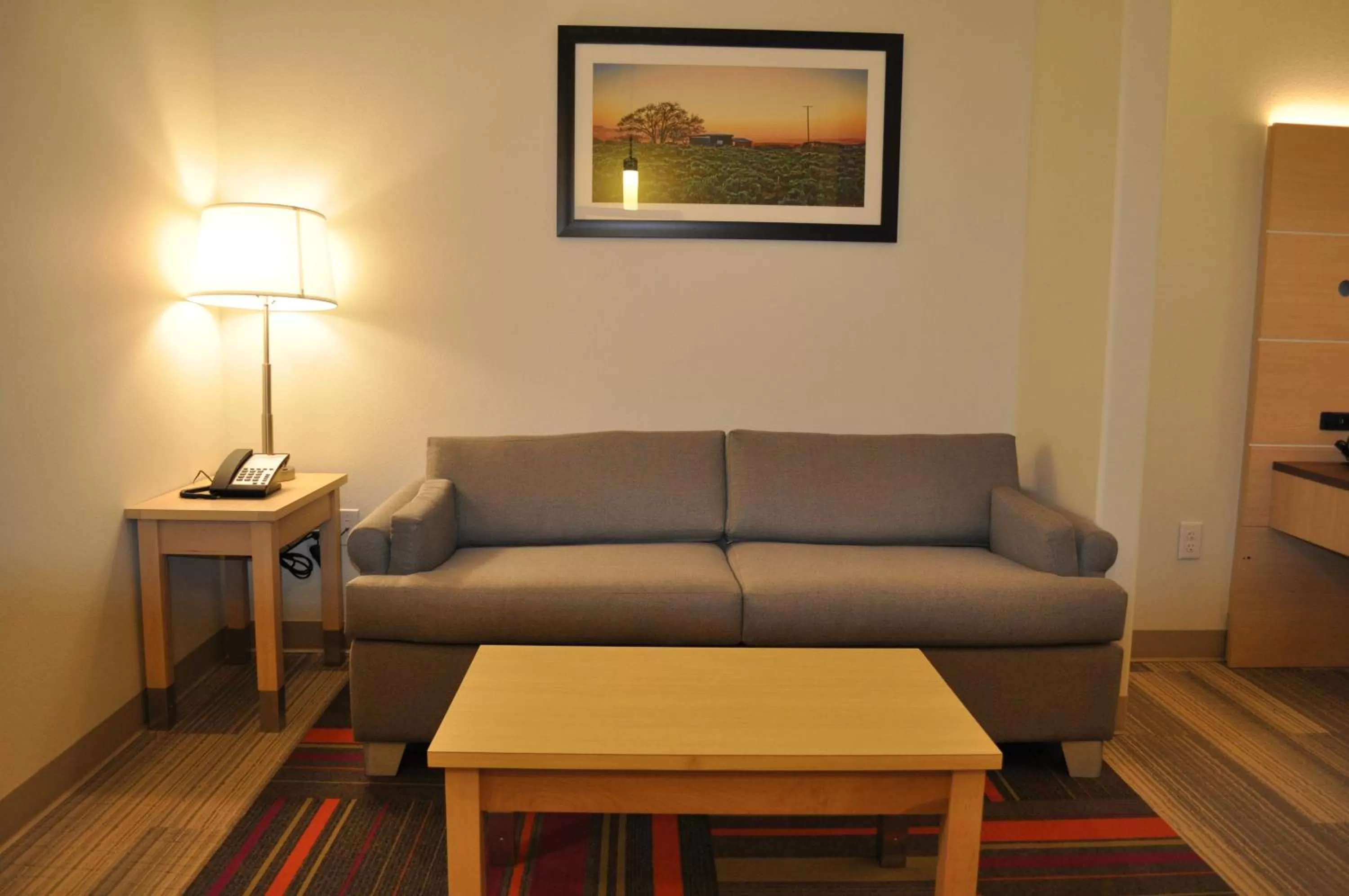 Photo of the whole room in Holiday Inn Express & Suites Price by IHG