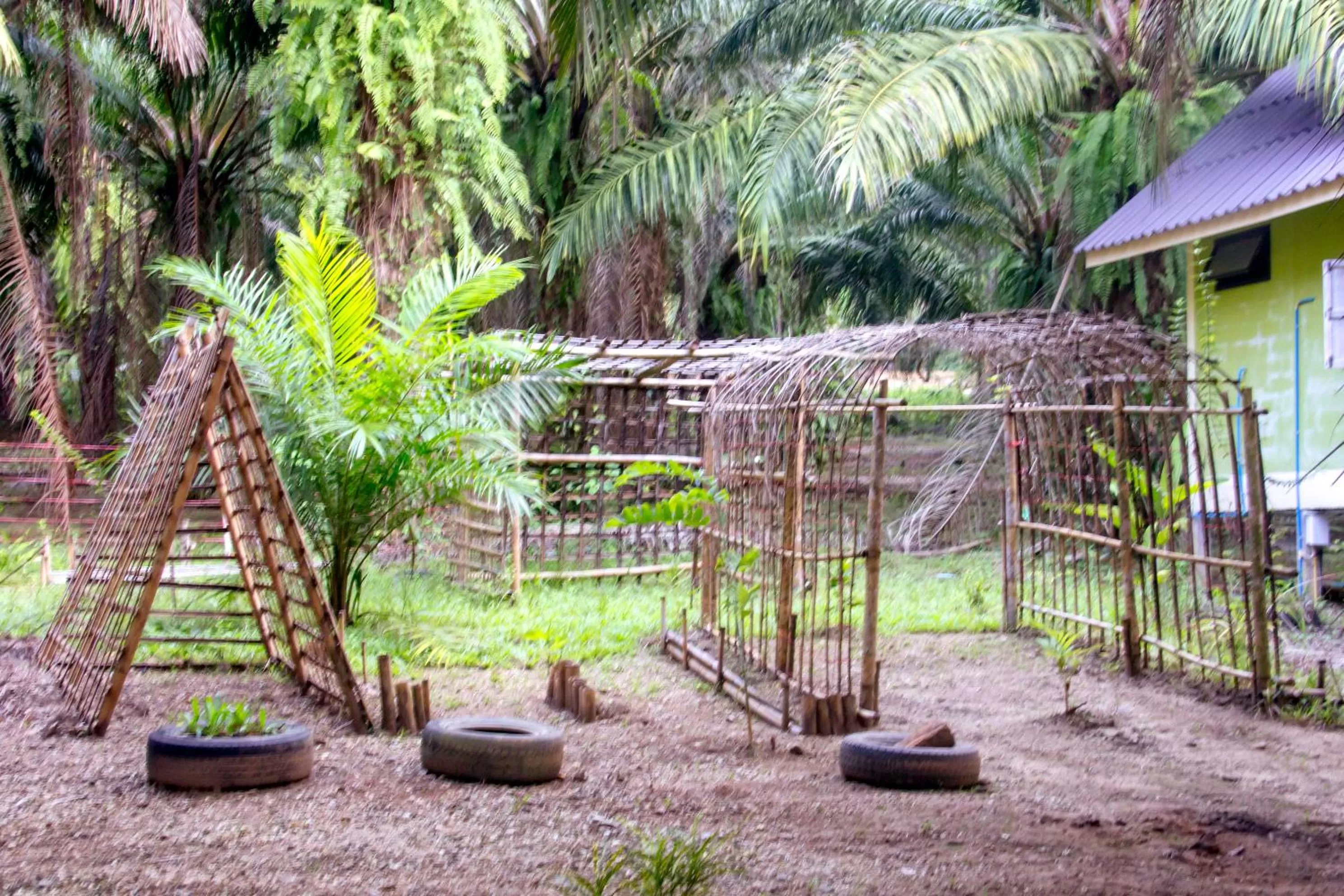Children play ground in Khao Sok Palmview Resort