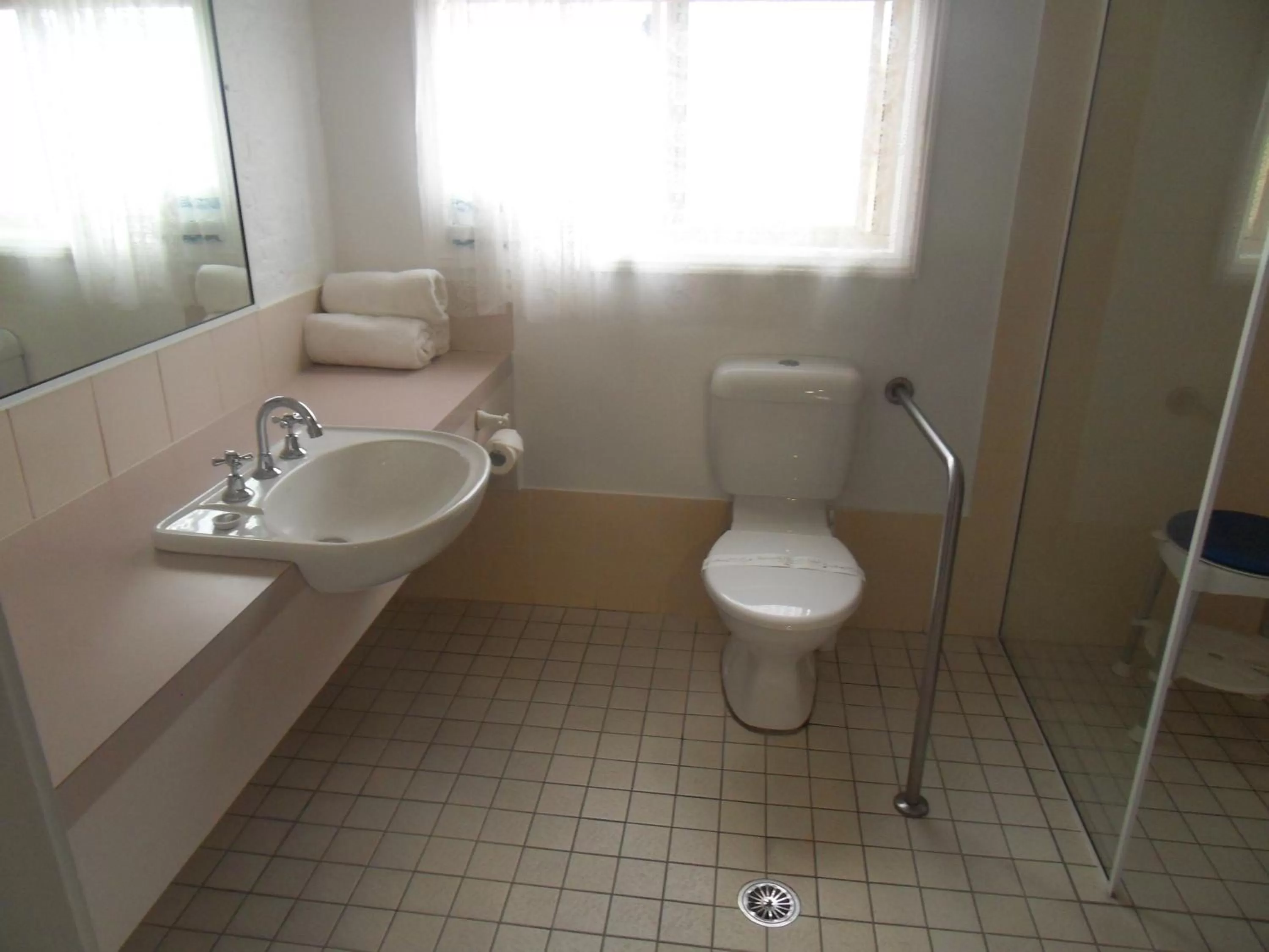 Toilet in Swaggers Motor Inn