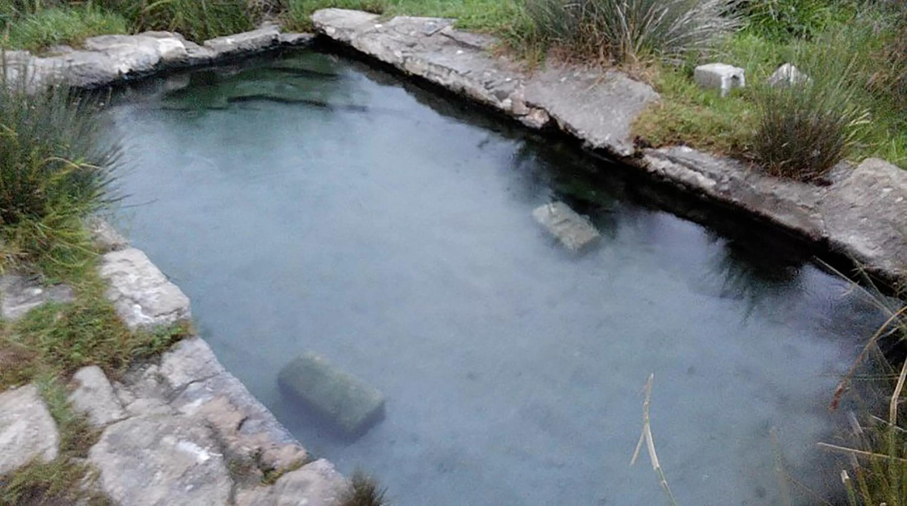 Standard Double or Twin Room with Garden View in B&B Armony Bono