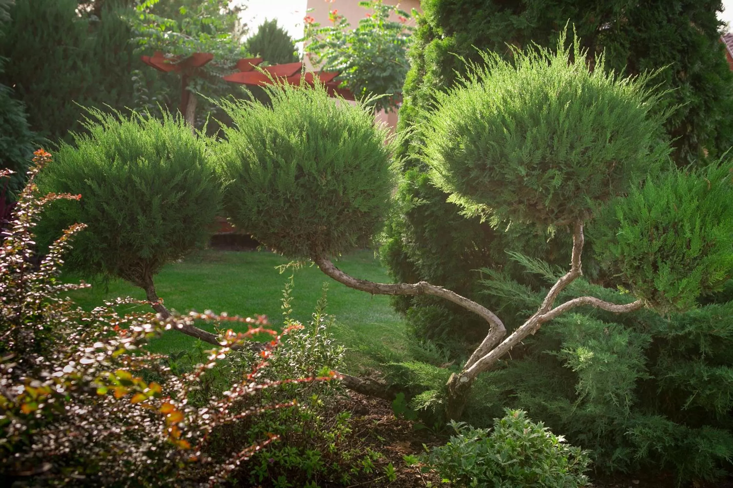 Garden in Green Park Villa