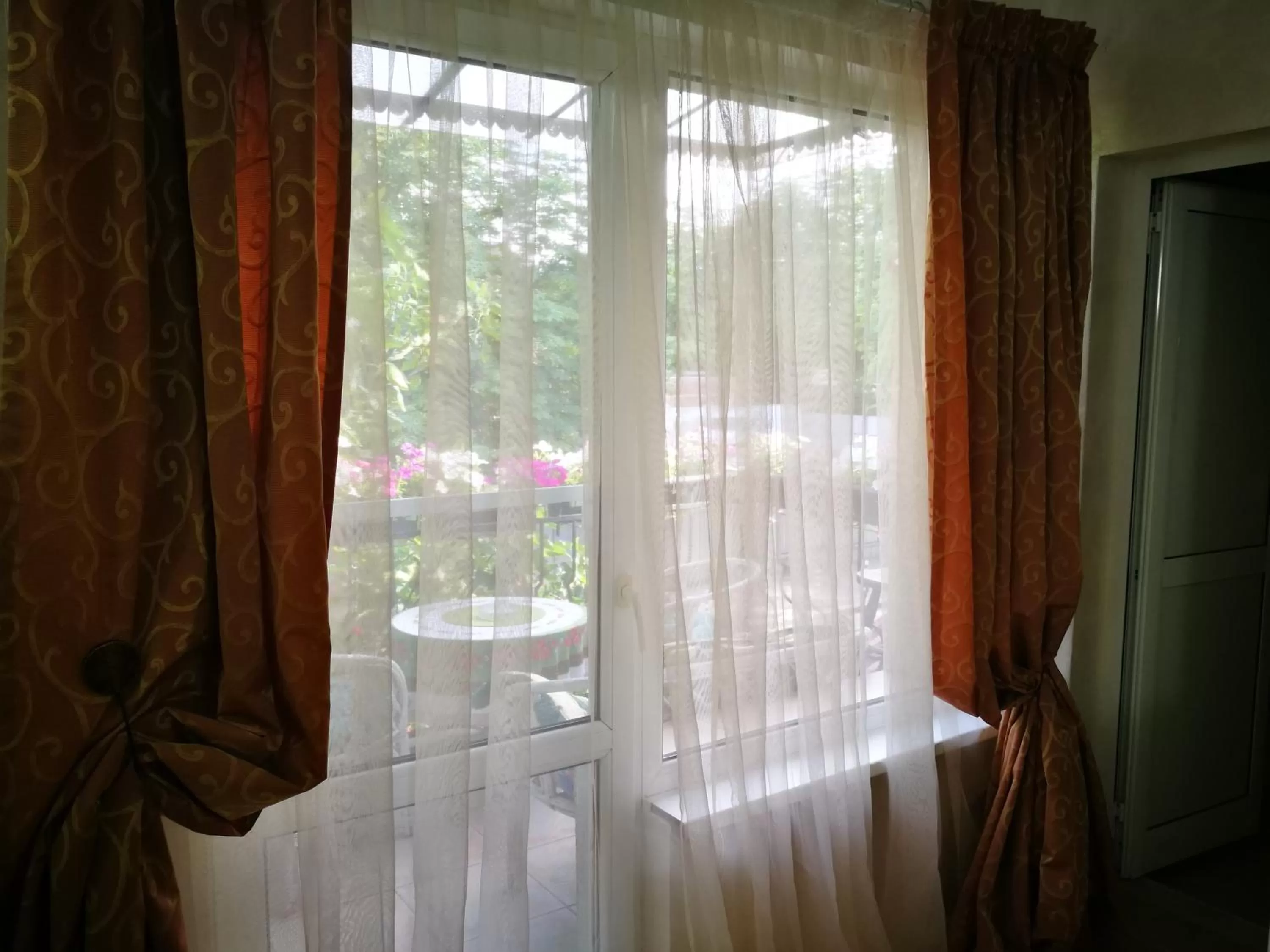 Balcony/Terrace in Hotel Paradise