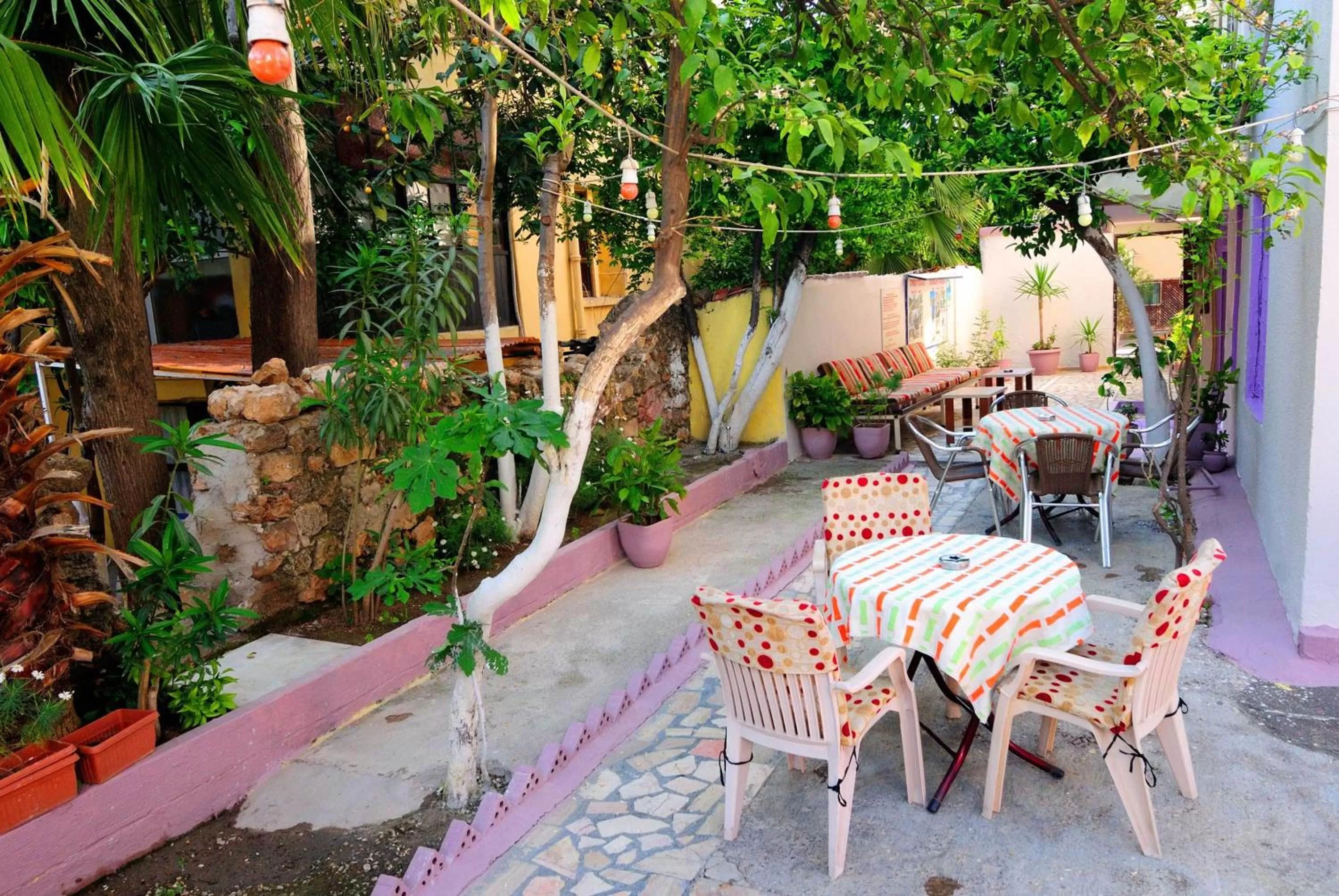 Garden in Ozmen Hotel Old Town Kaleiçi