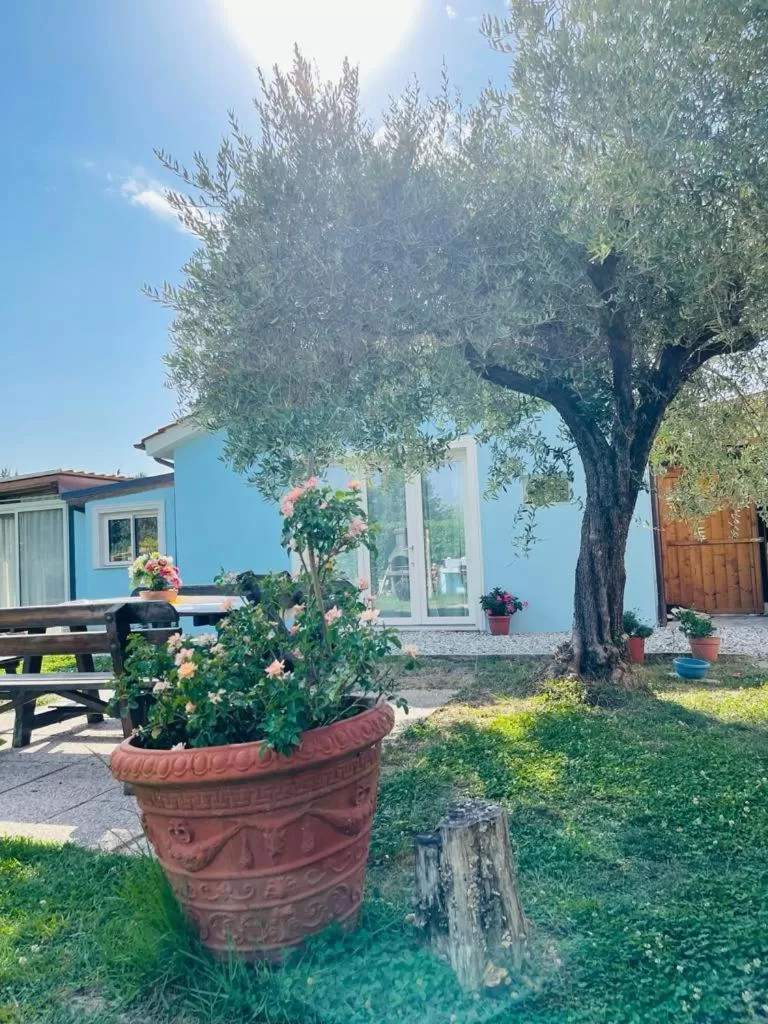 B&B La Rosa Nel Verde