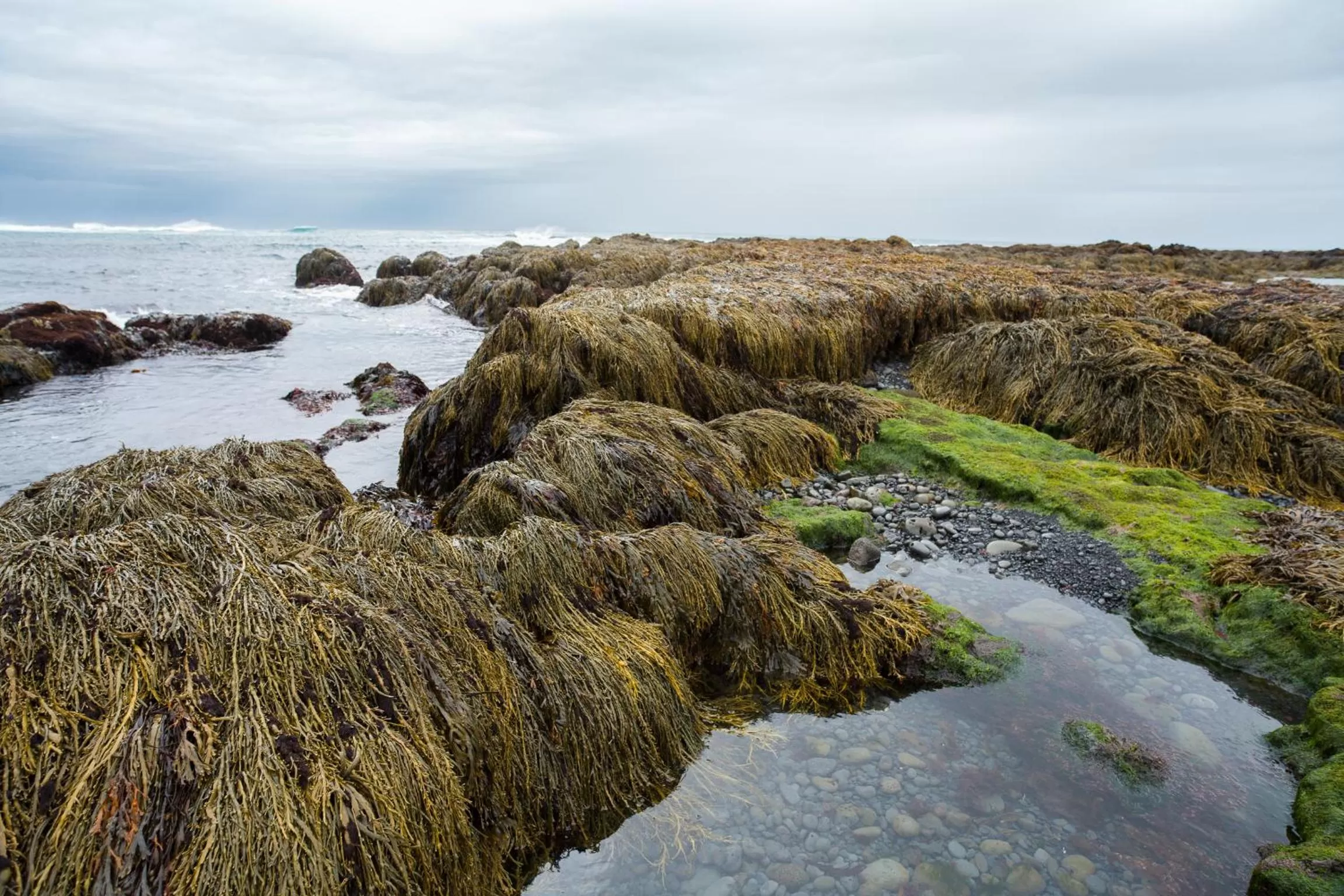 Spring in Northern Light Inn