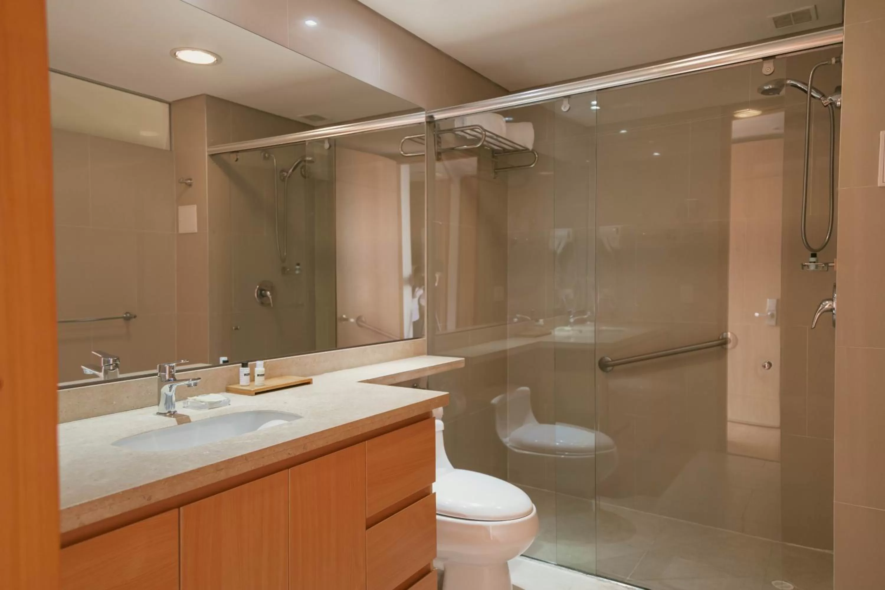 Toilet in Faranda Collection Bogota, a member of Radisson Individuals