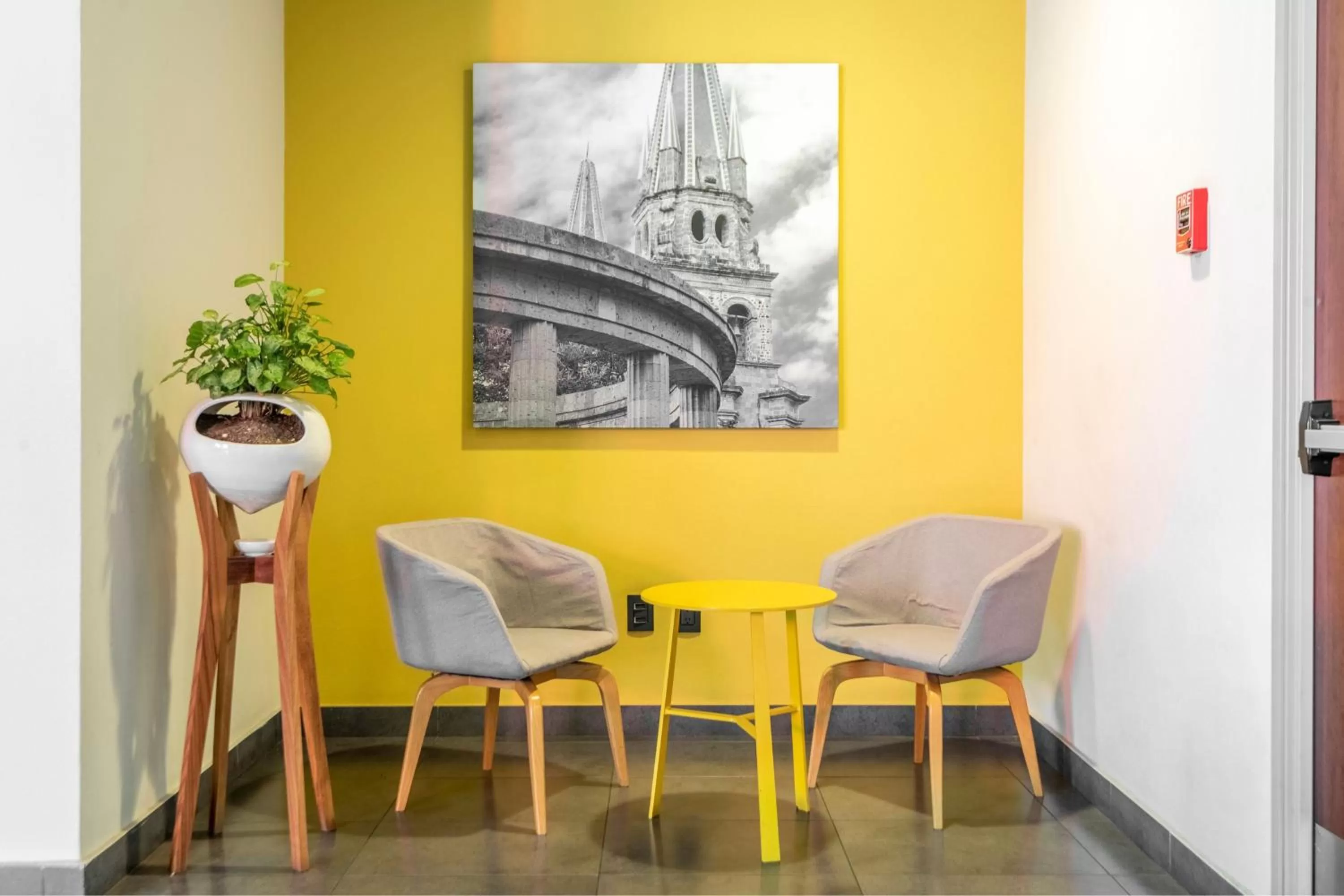 Lobby or reception in City Express Plus by Marriott Guadalajara Palomar