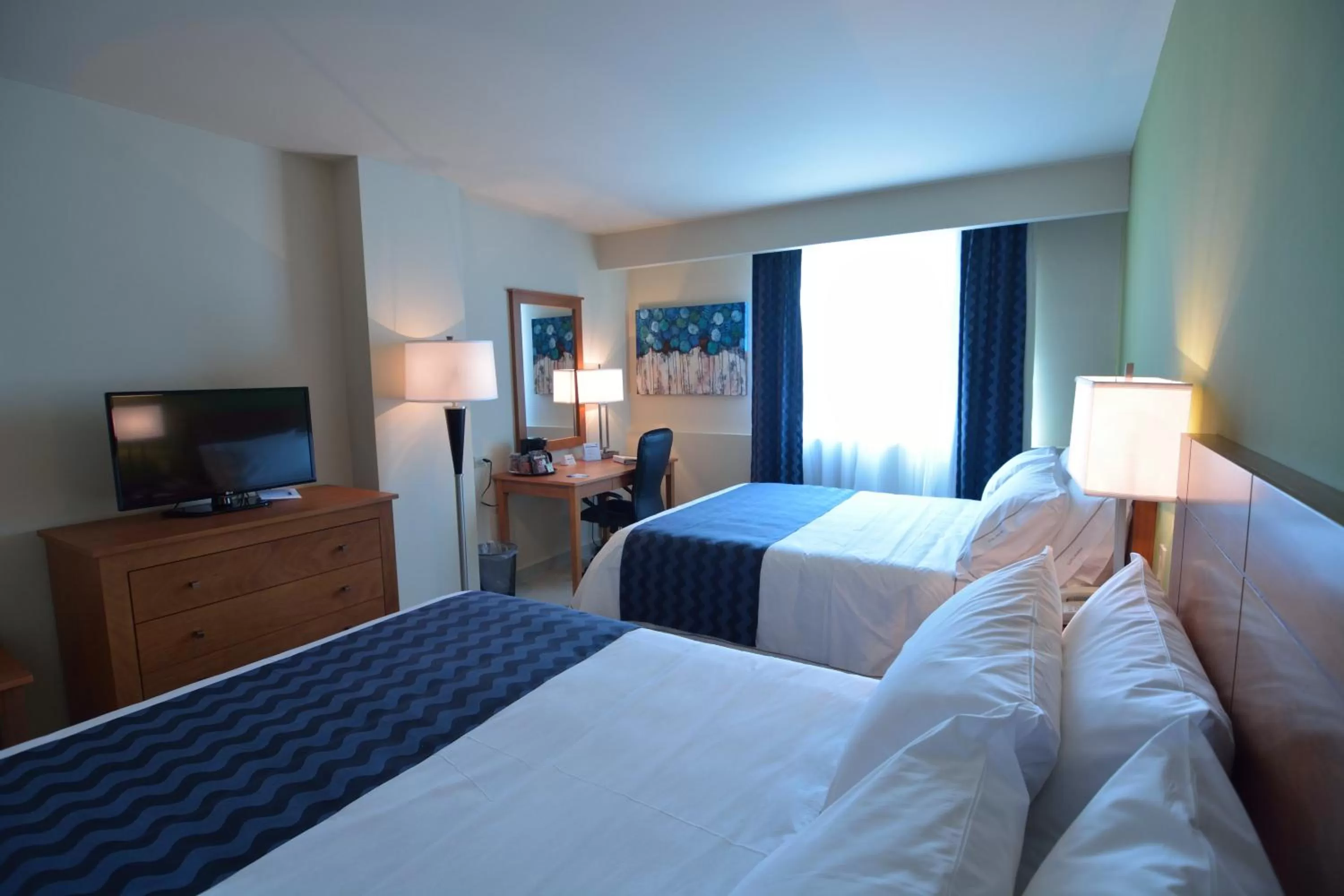 Photo of the whole room, Bed in Holiday Inn Express Cabo San Lucas by IHG