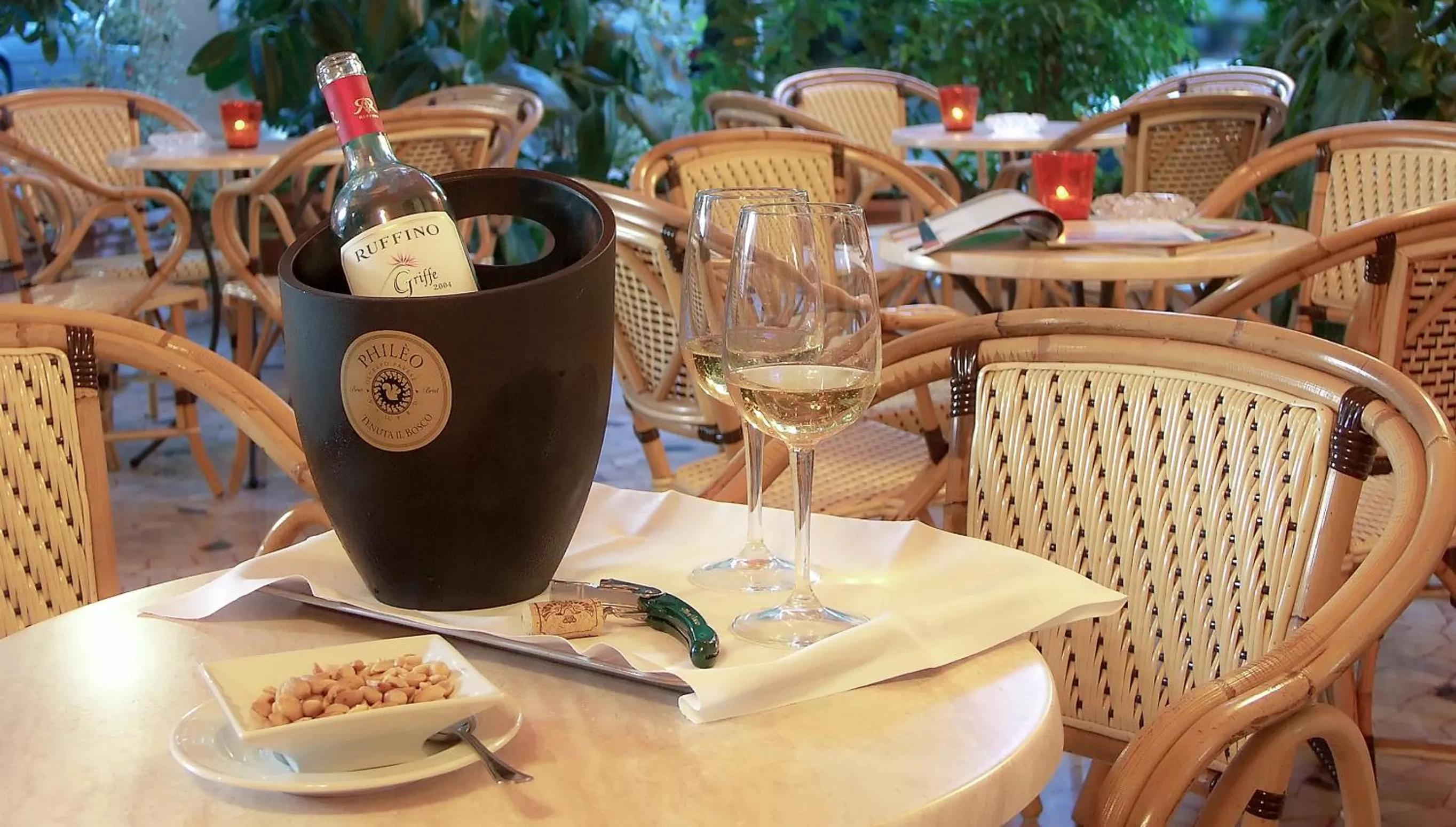 Garden in Hotel Boston