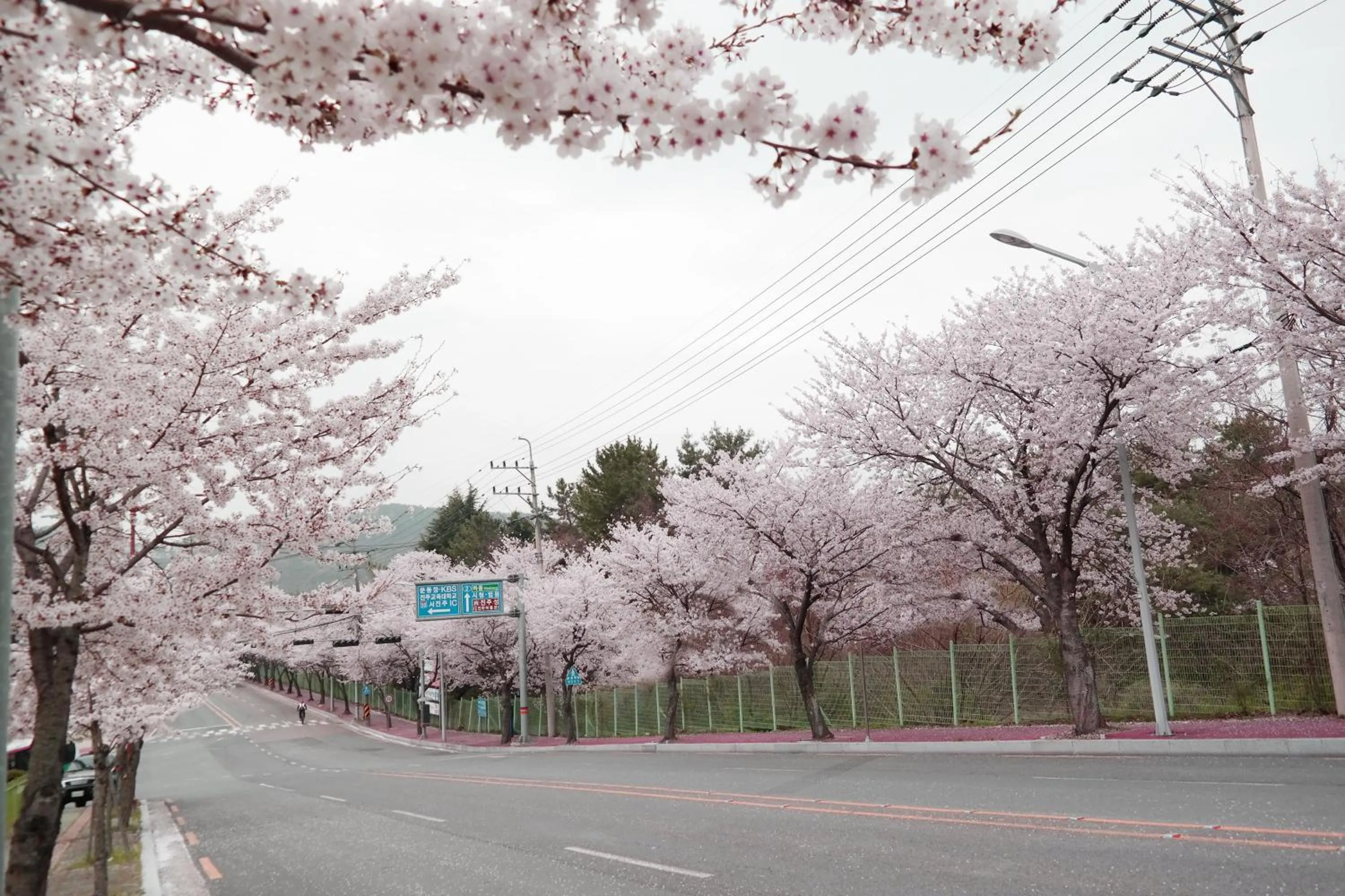 Spring in Asia Lakeside Hotel