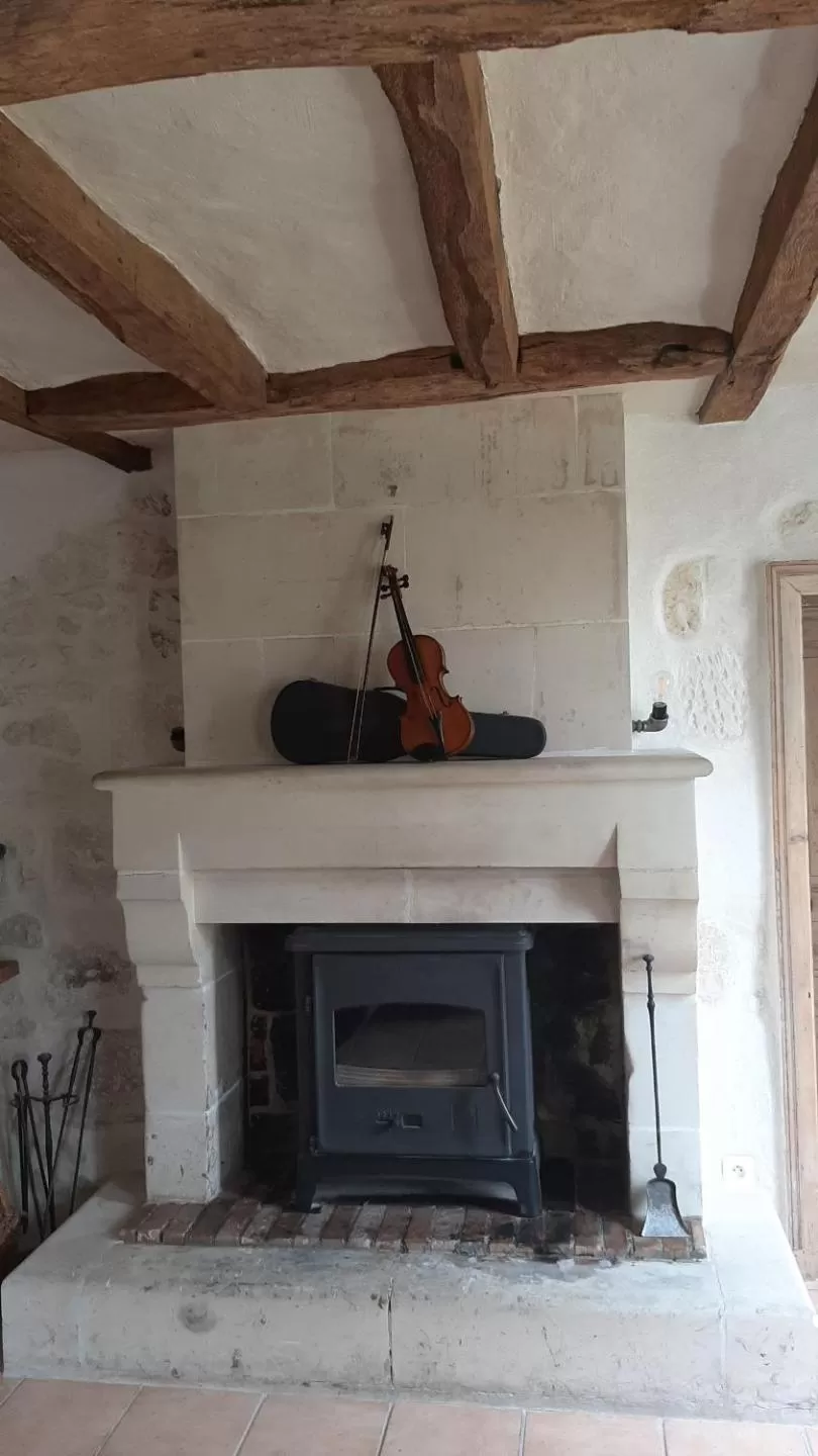 Living room in La BerryCurienne proche du Zoo de Beauval Saint-Aignan avec SDB, WC ET SPA PRIVATIF pour chaque chambre