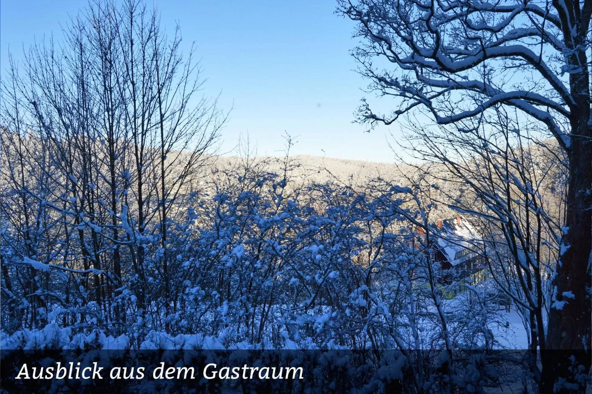 View (from property/room) in Erzgebirgshotel Misnia Bärenfels