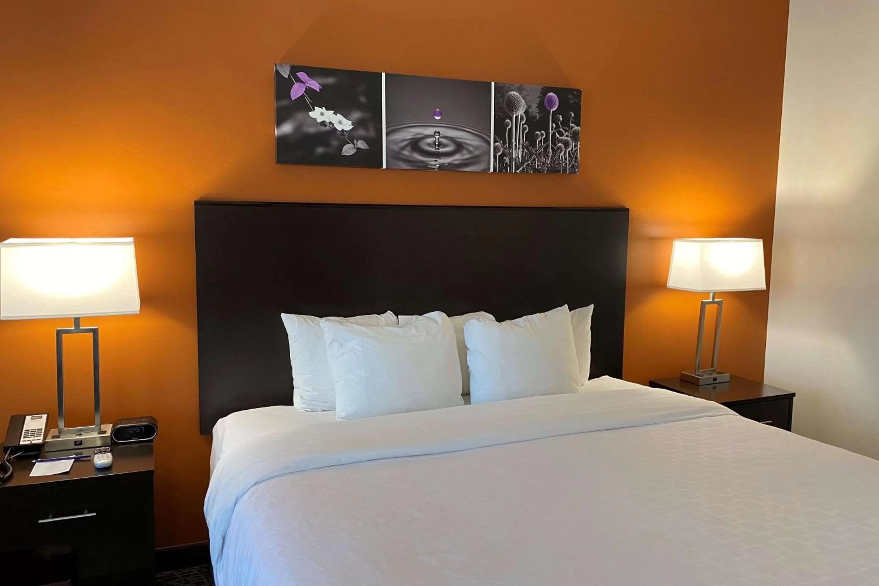 Photo of the whole room in Sleep Inn & Suites Hurricane Zion Park Area