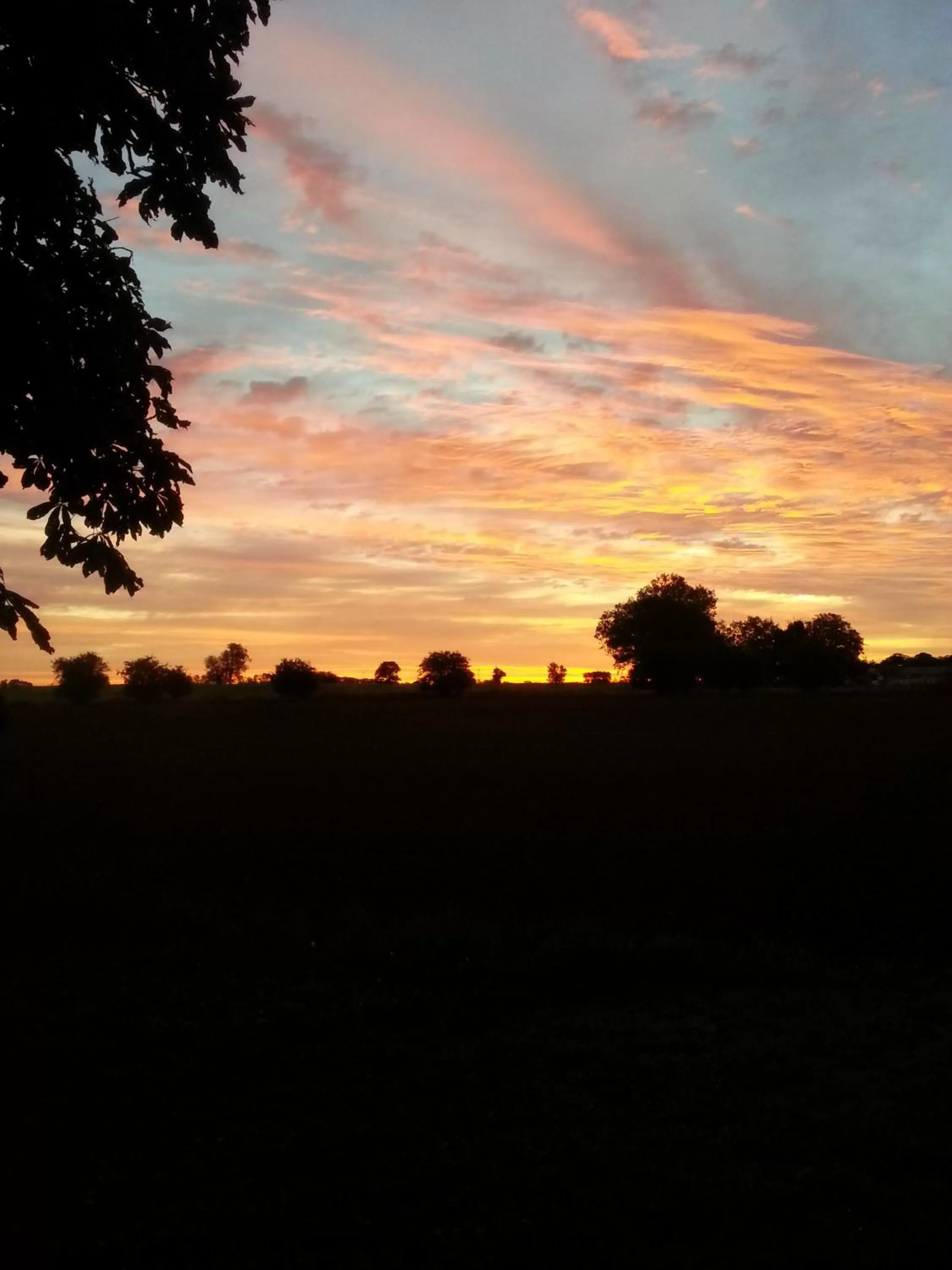 View (from property/room), Sunrise/Sunset in Roskilde B&B