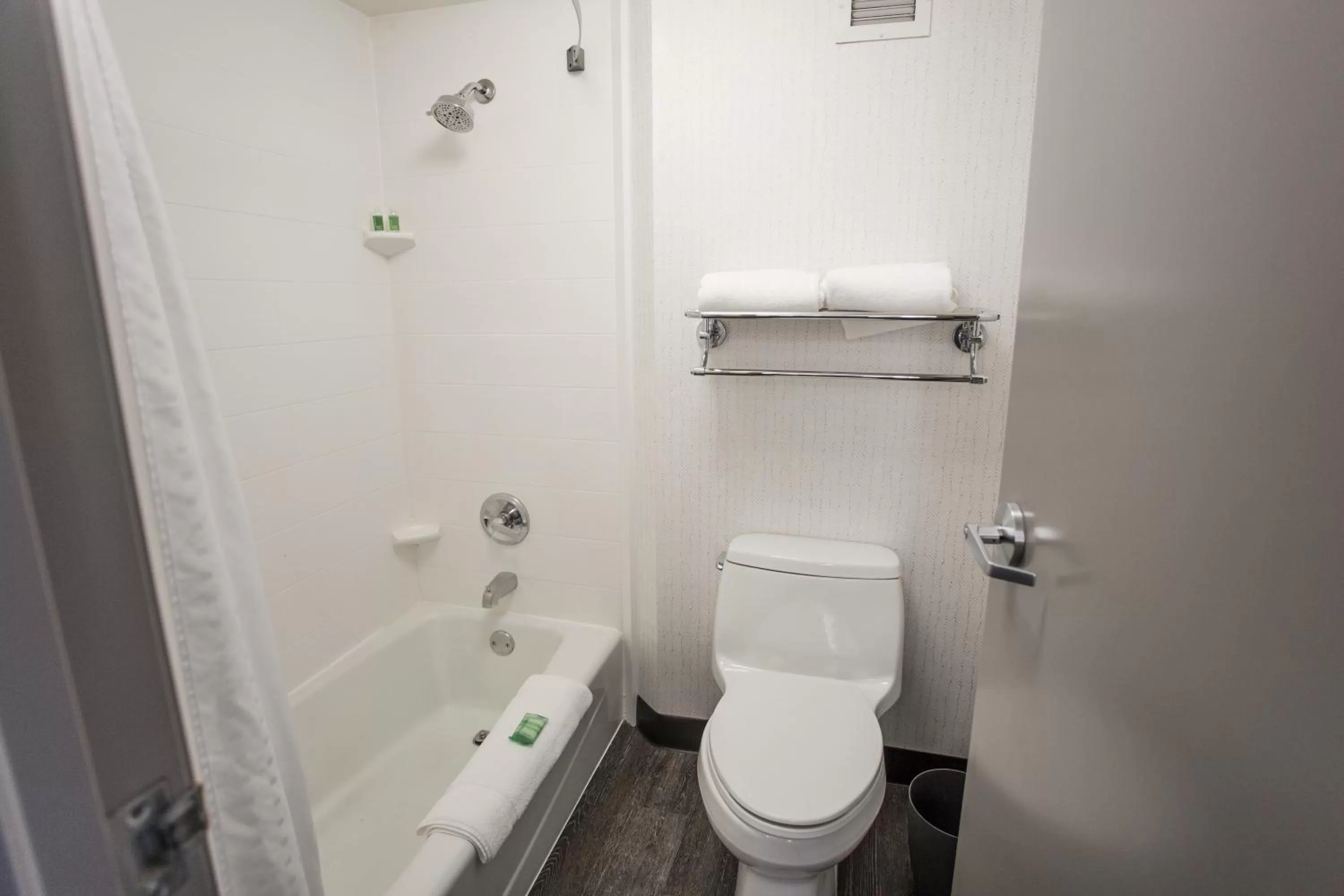 Holiday Inn Grand Rapids Downtown by IHG