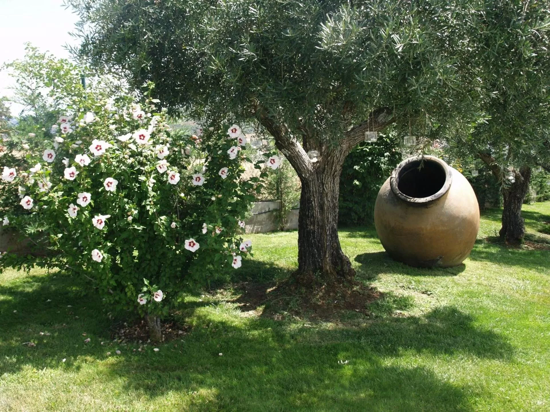 Garden in Hotel Estalagem Turismo