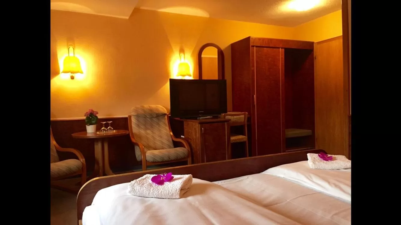 TV/Entertainment Center in Zum Erbacher Hof