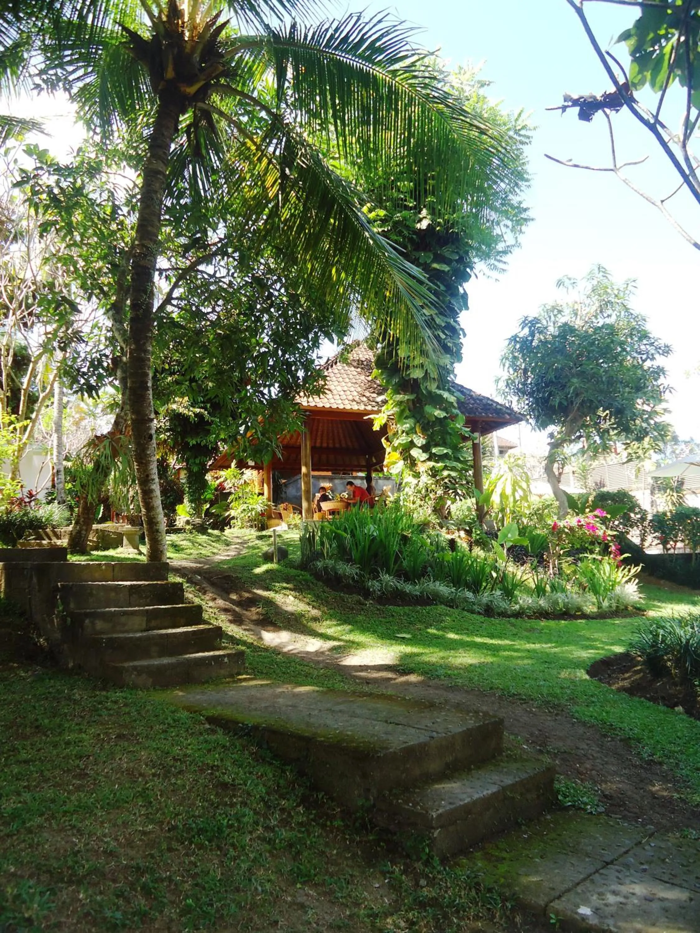 Natural landscape in Argasoka Bungalows