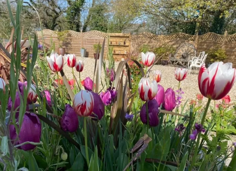 Toppesfield House B&B