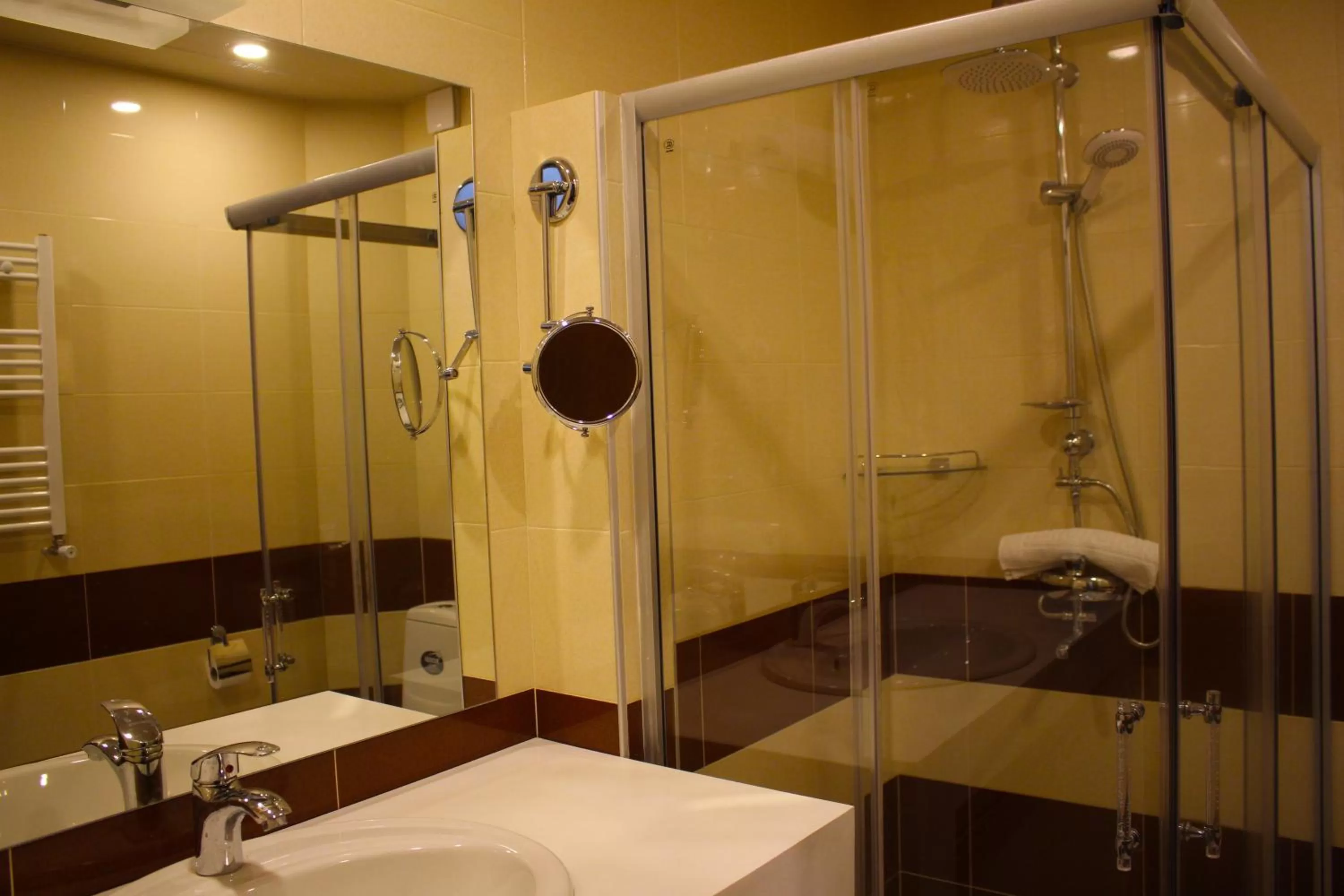 Shower, Bathroom in Sani Hotel