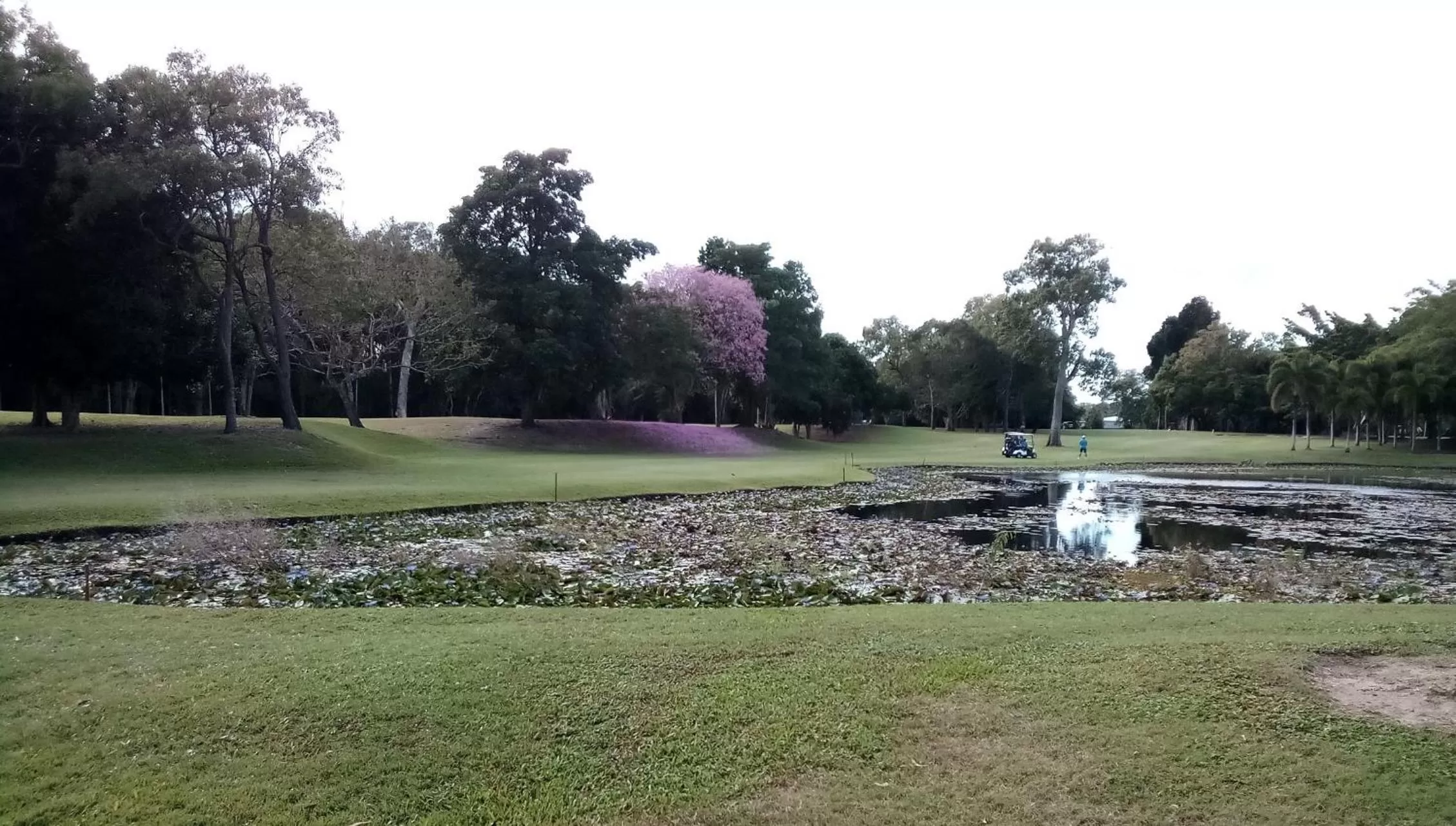 Golfcourse in The York Beachfront Holiday Apartments