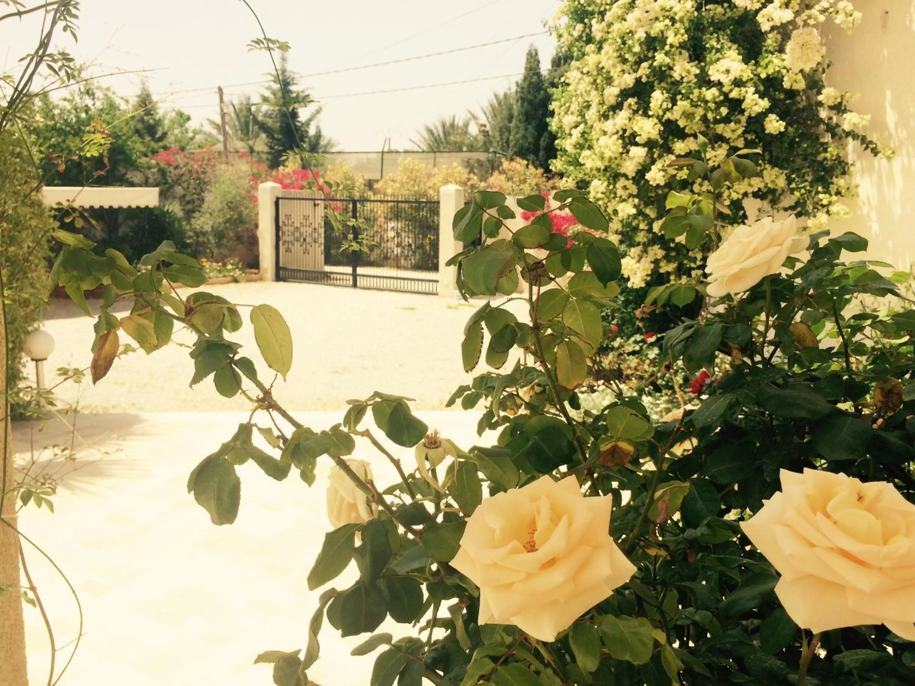 Facade/entrance in Dar Khereddine