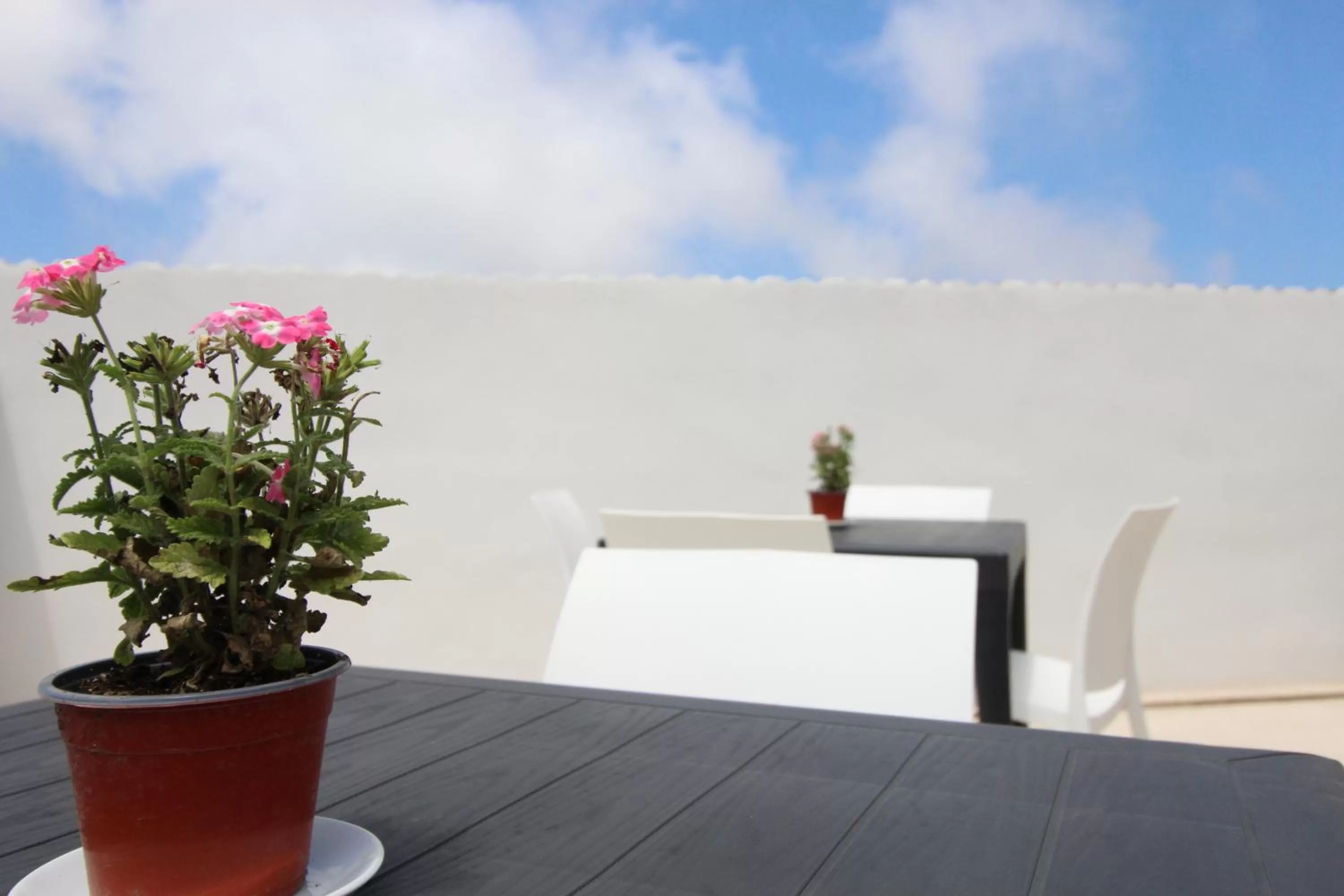 Balcony/Terrace in BED & BREAKFAST VAL di ERICE