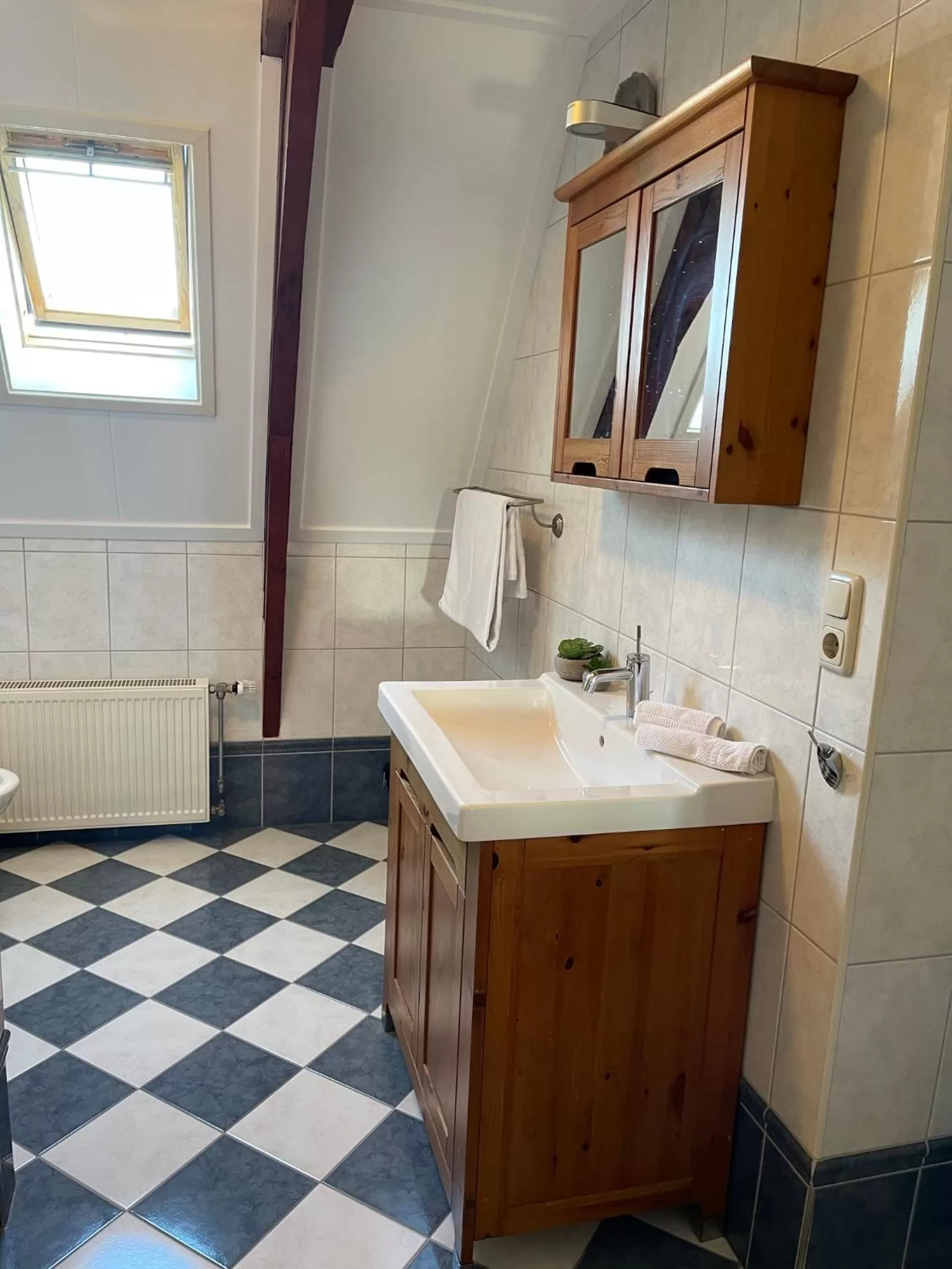 Bathroom in Villa Steenwyck Giethoorn