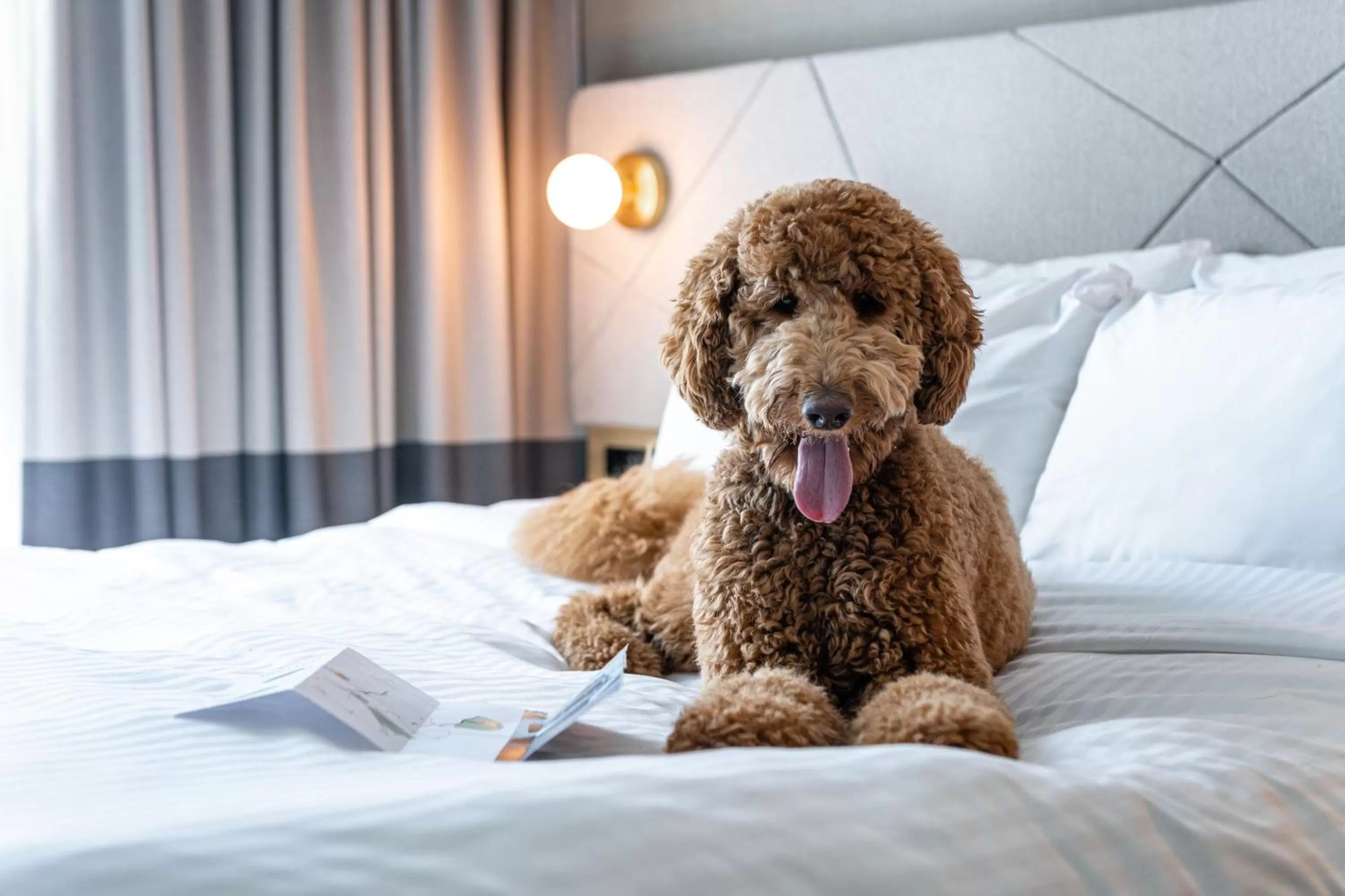 Photo of the whole room, Bed in Residence Inn by Marriott Slough