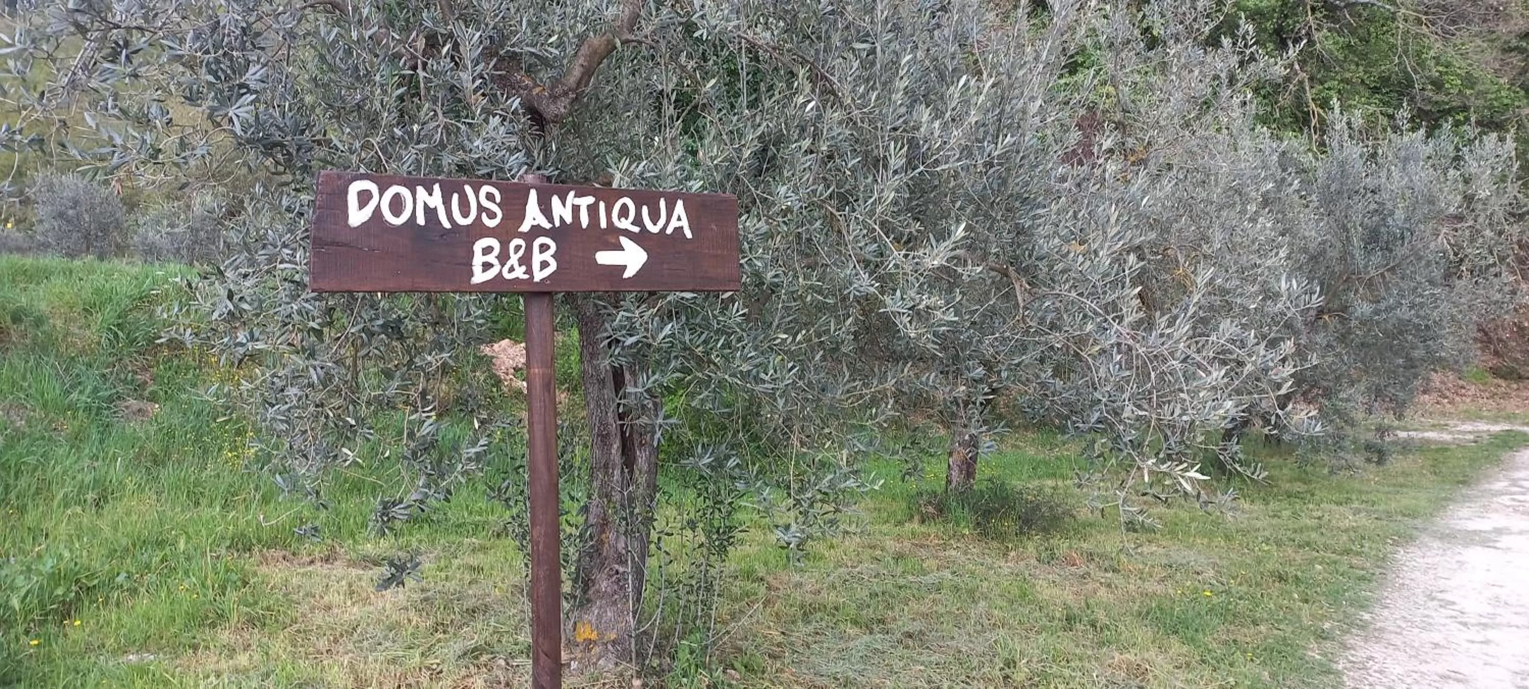 Domus Antiqua Bed & Breakfast