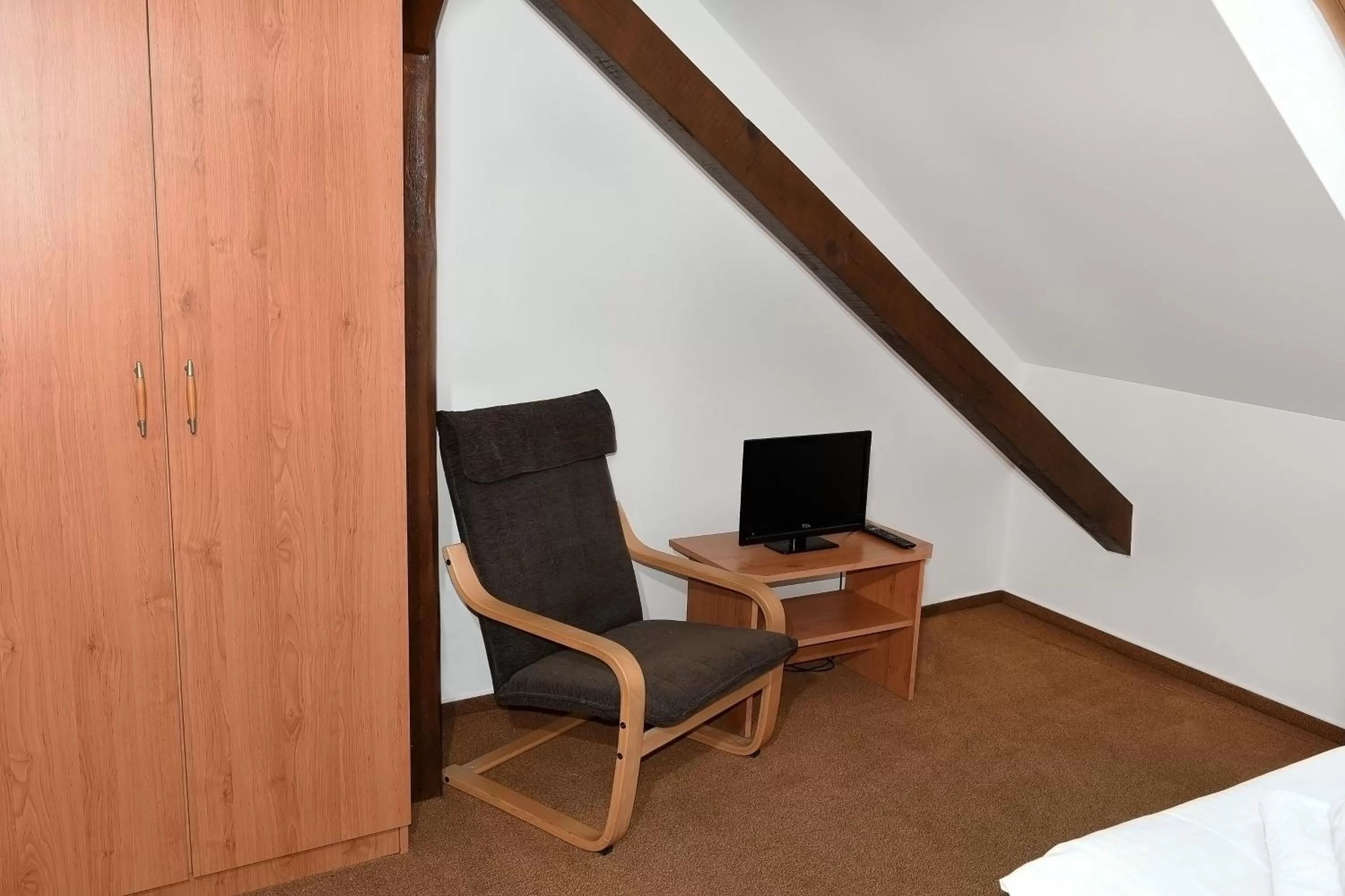 TV/Entertainment Center in Hotel Bílý Koníček