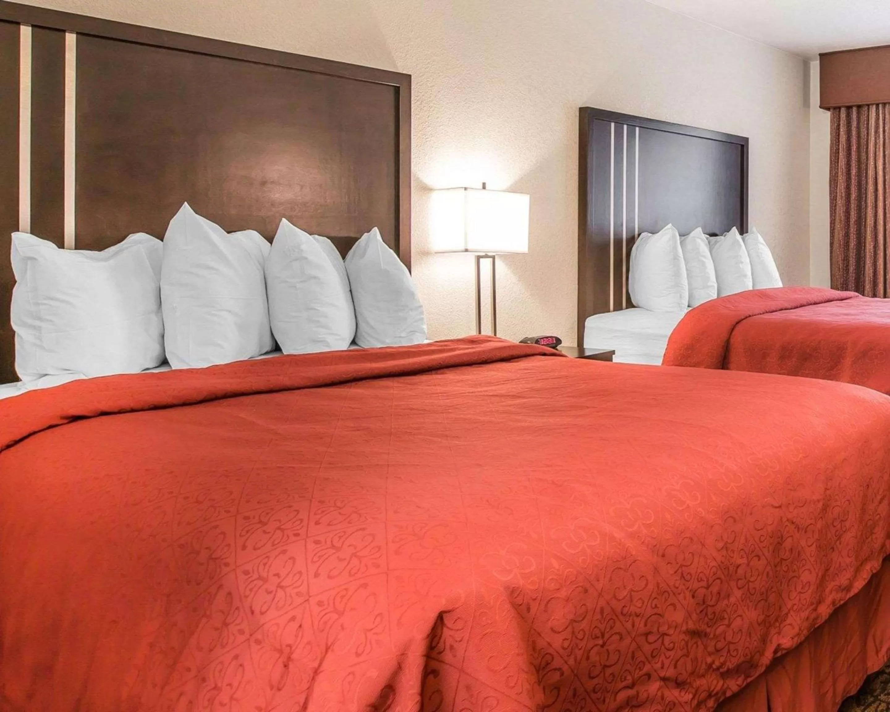 Photo of the whole room, Bed in Quality Inn & Suites Woodland - Sacramento Airport