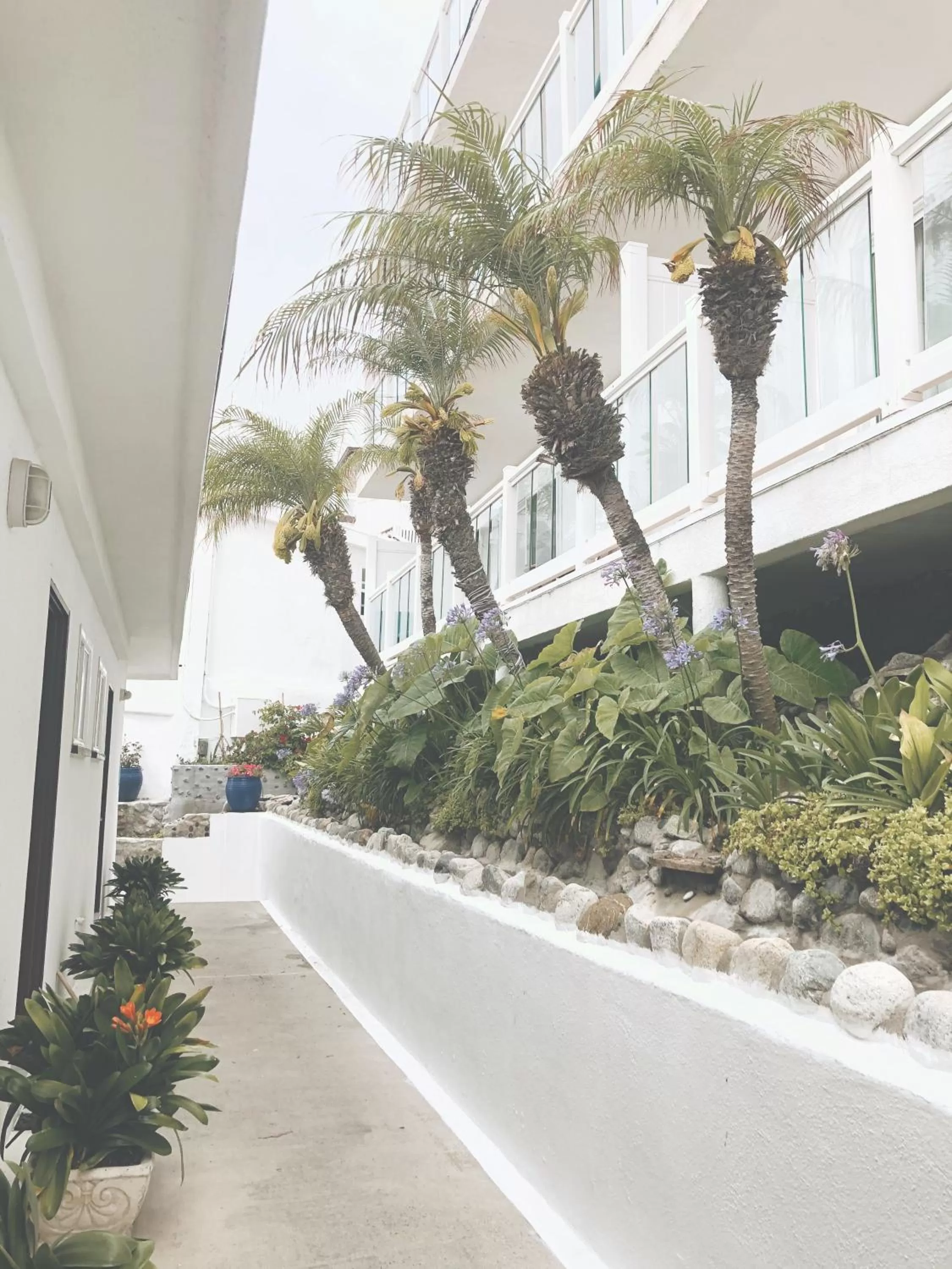 Garden in Capri Laguna on the Beach - A Boutique Hotel