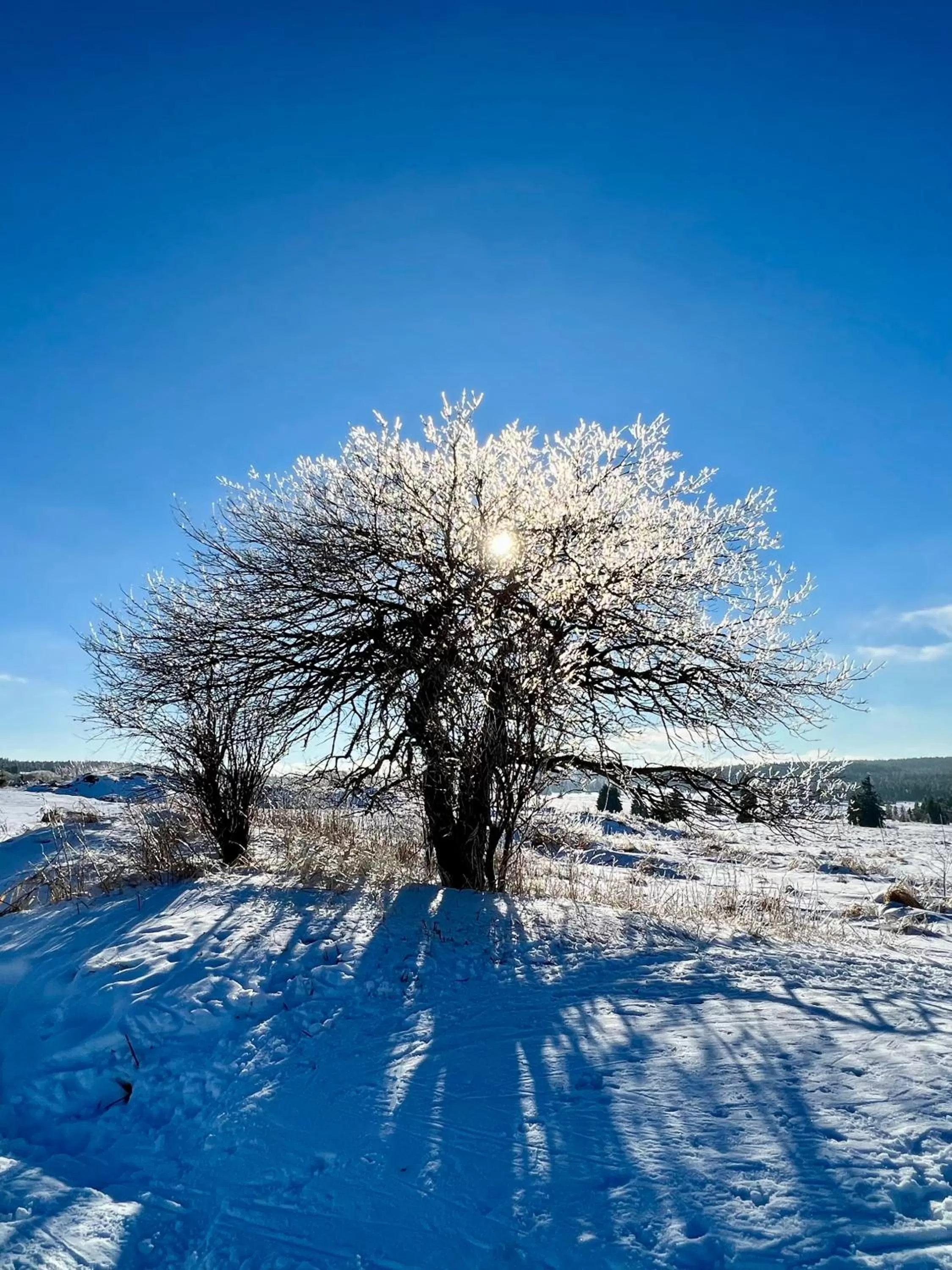 Natural landscape in Vila Jáchymov