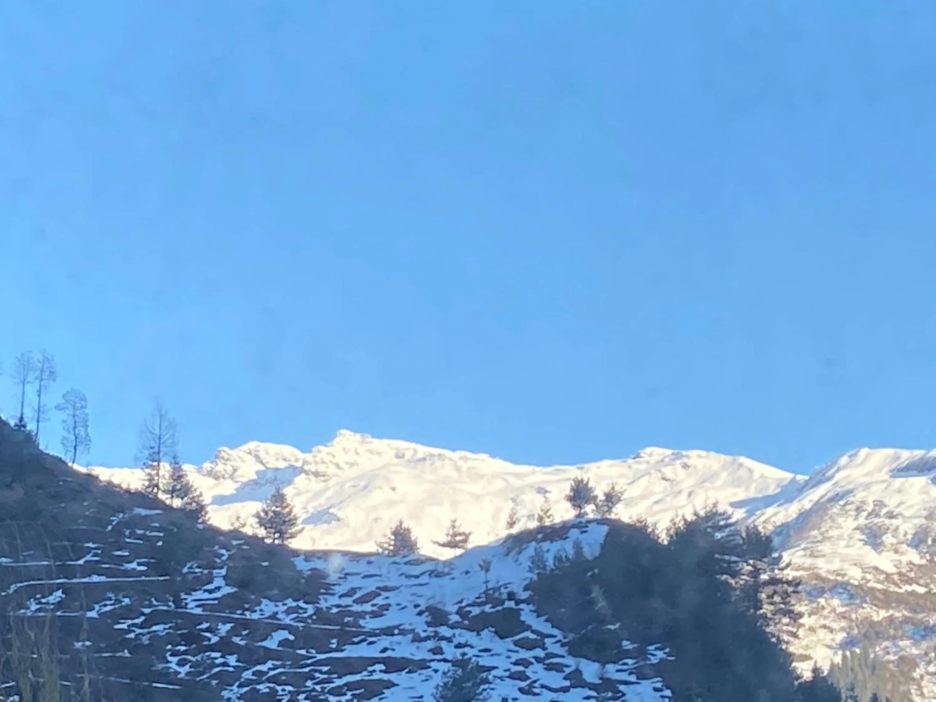 Solang Valley Resort