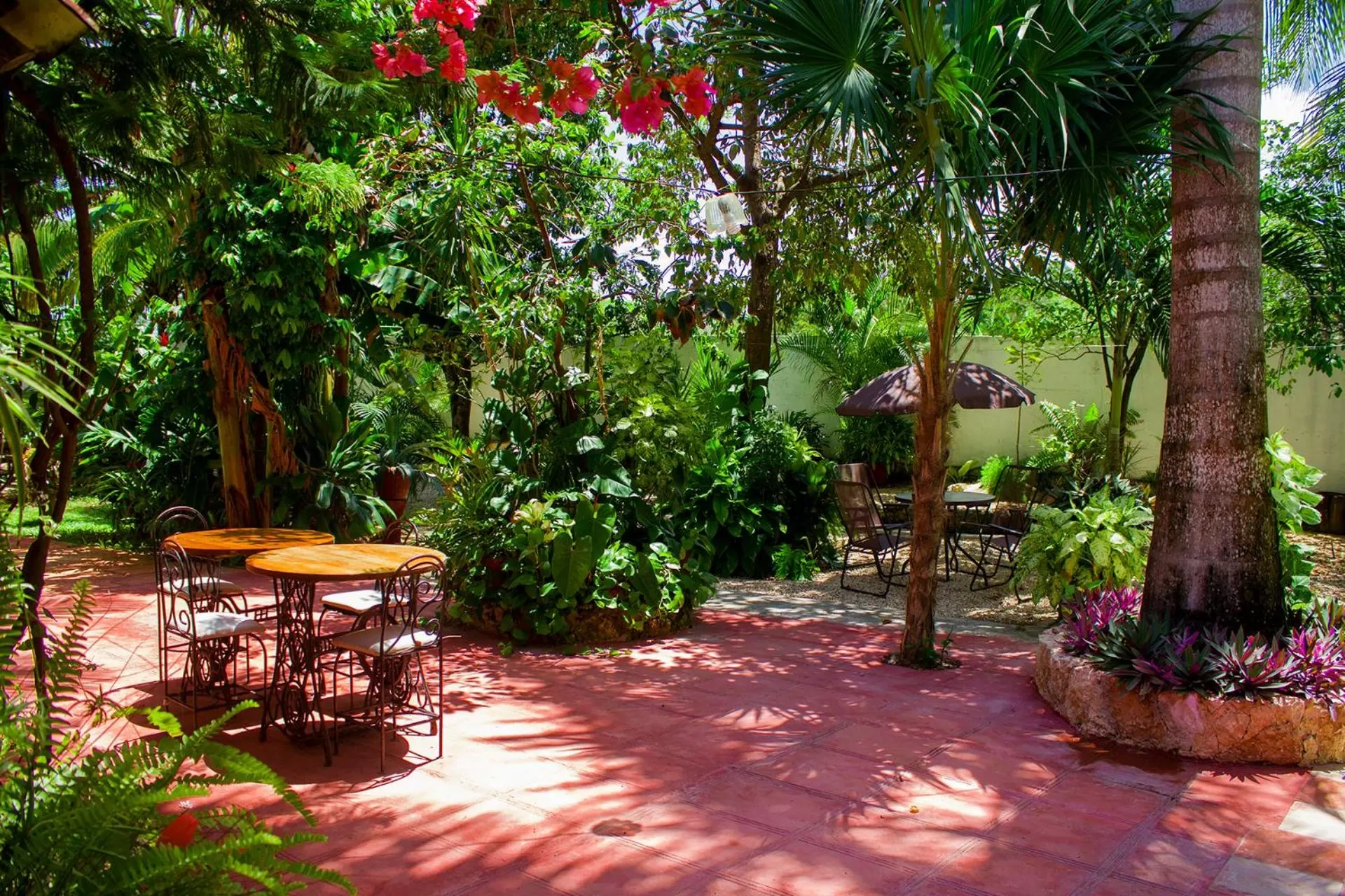 Patio in Casa De Los Pájaros - B&B