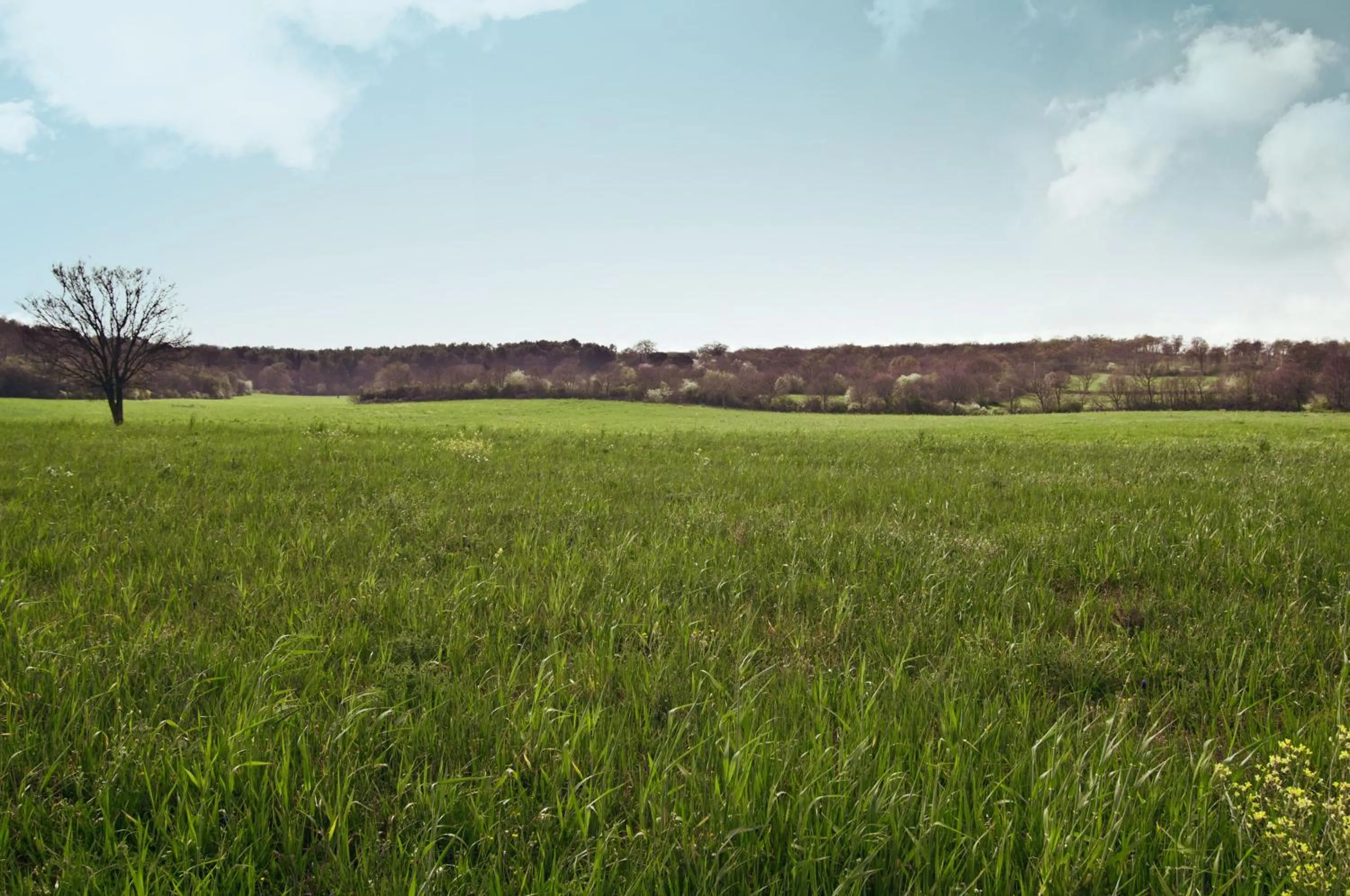 Natural landscape in Agriturismo Fasano