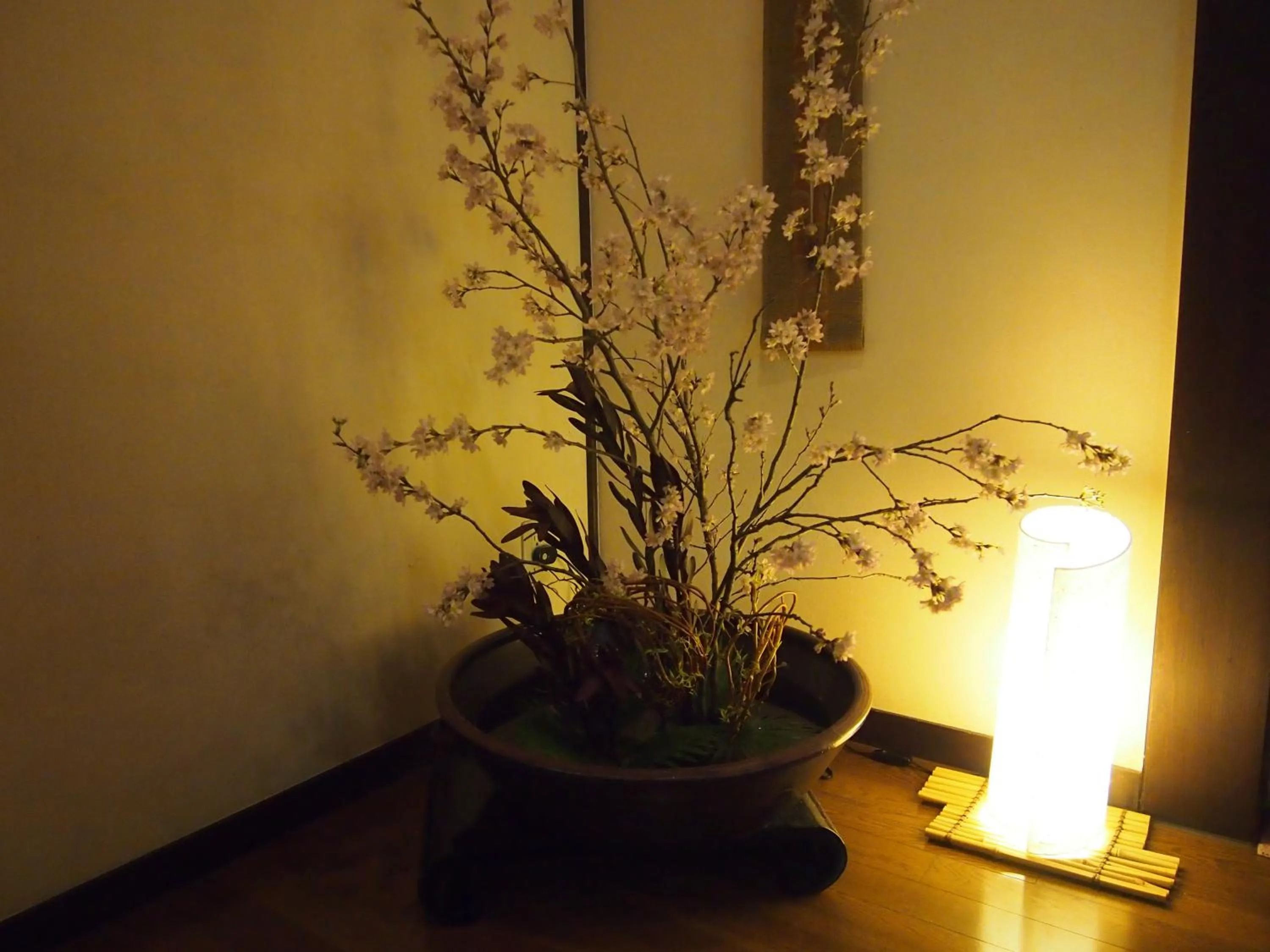 Spring in Oyado Koto No Yume