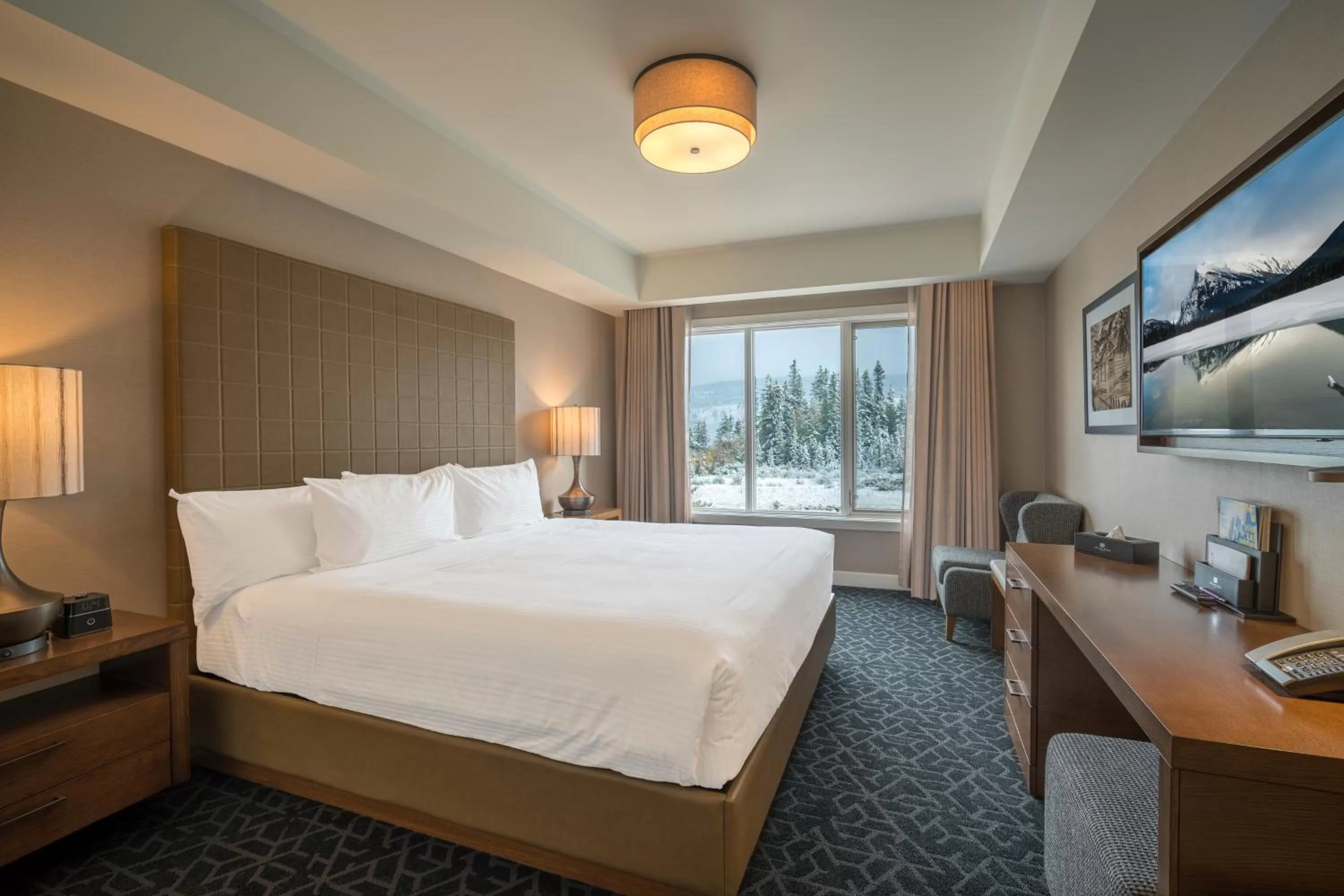 Photo of the whole room, Bed in The Malcolm Hotel