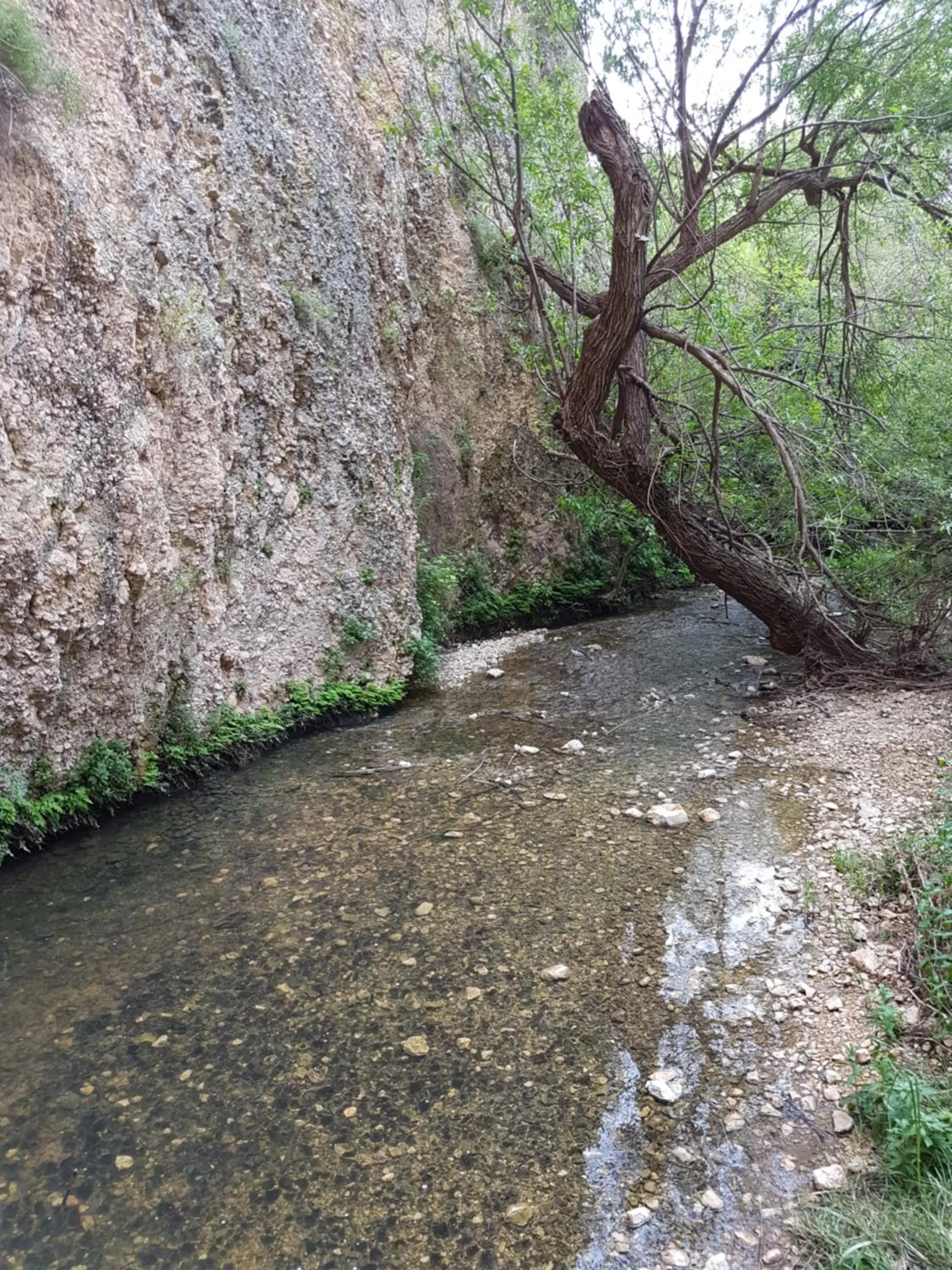 Hiking, Natural Landscape in Lishansky Since 1936