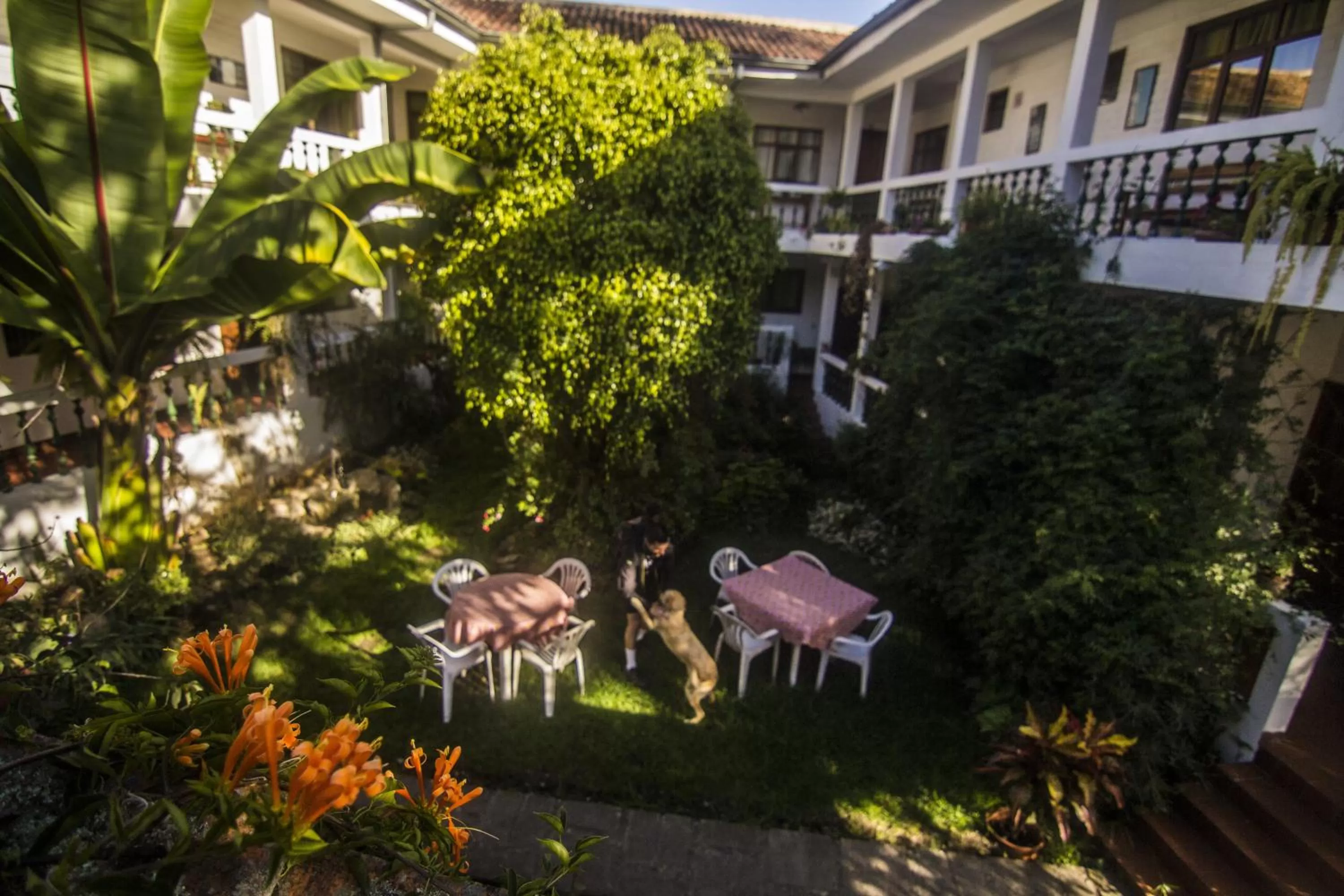Garden in Apartamentos Otorongo Cuenca Ecuador