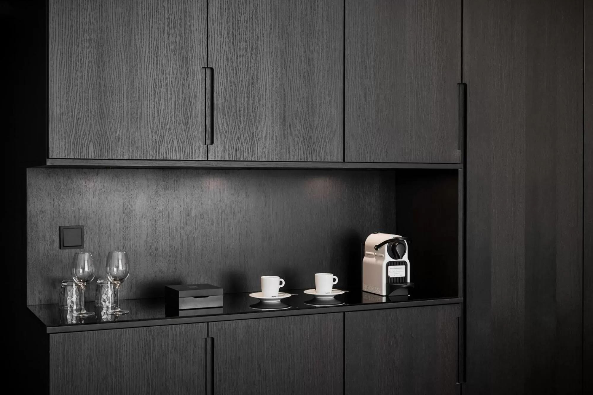 Area and facilities in Theresian Hotel