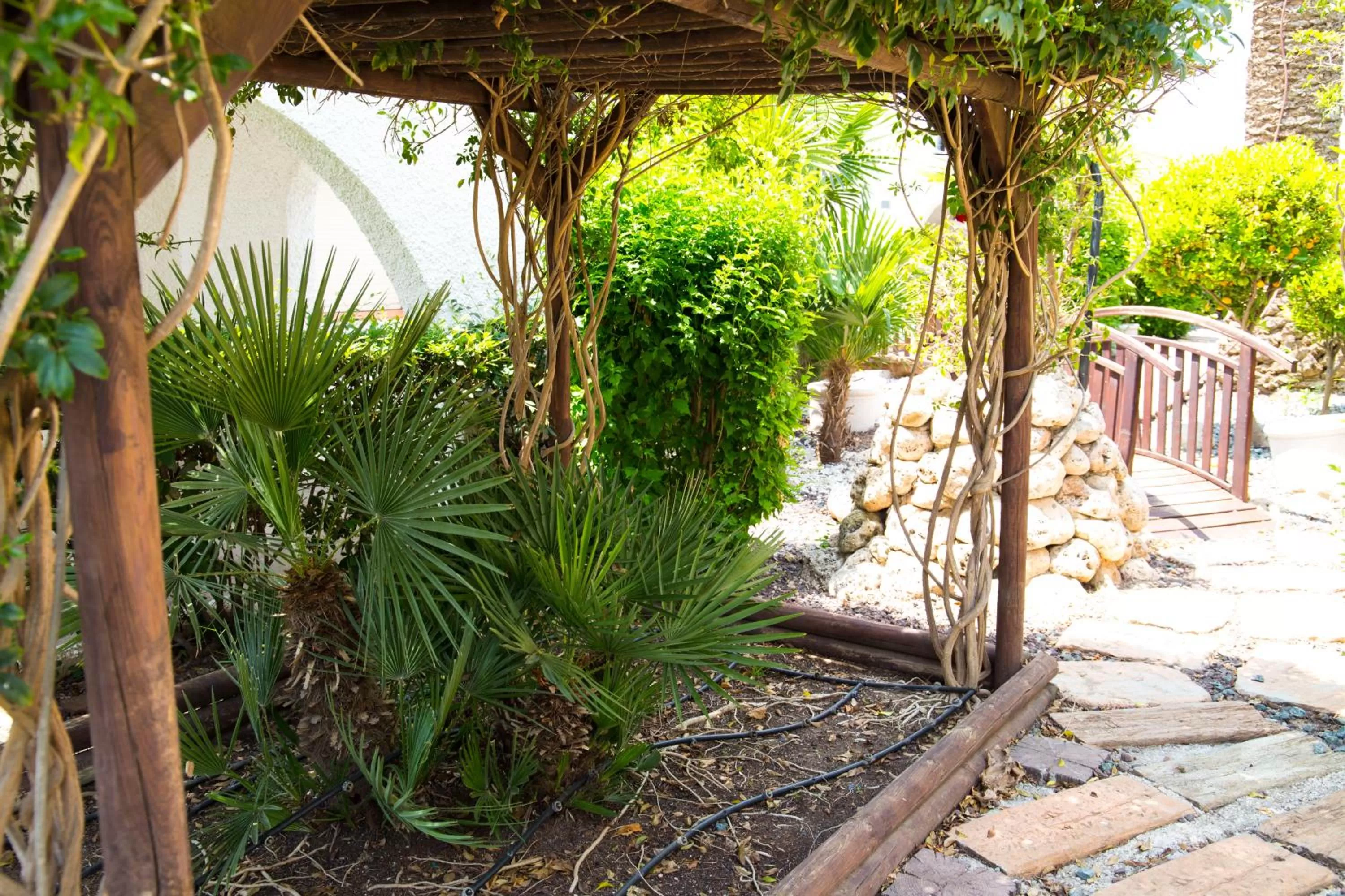 Garden in Hotel La Carreta