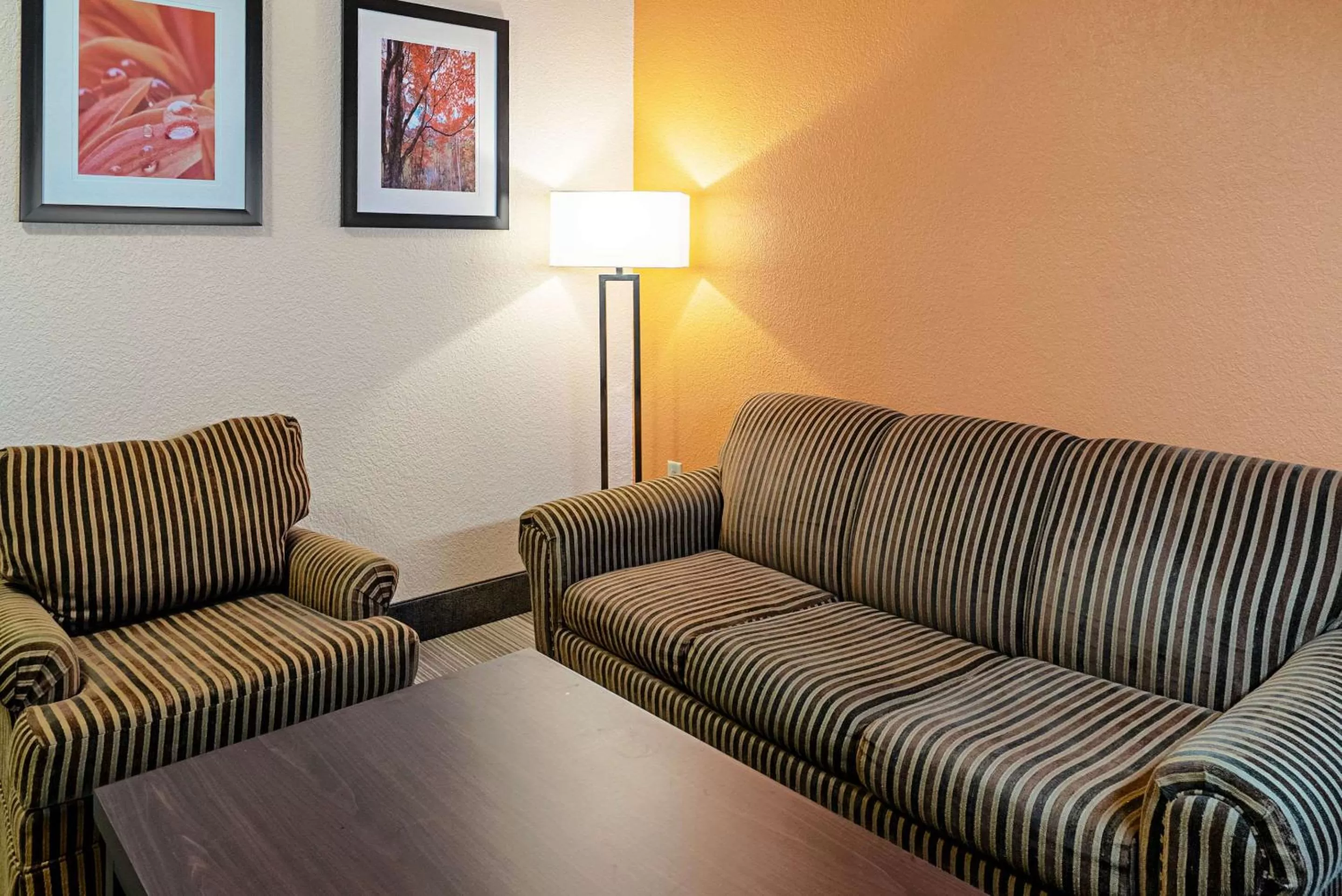 Photo of the whole room in Quality Inn & Suites Robbinsville