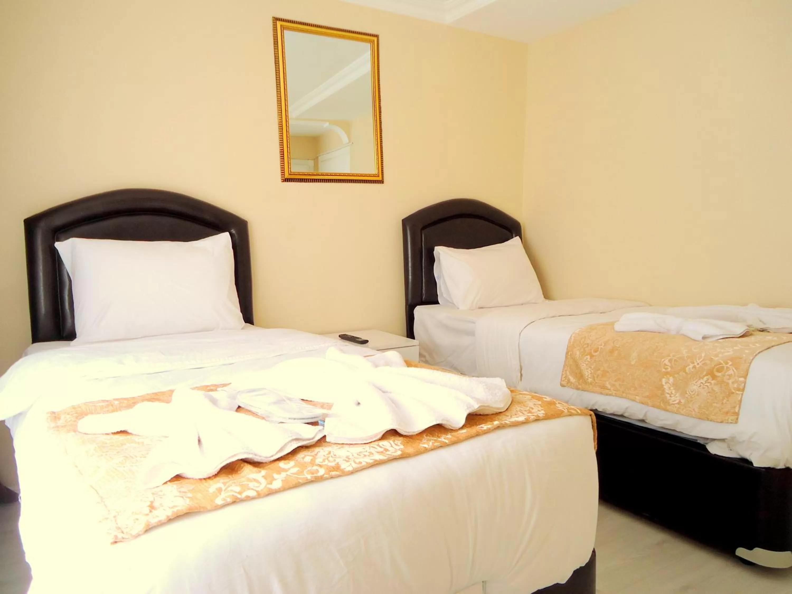 Photo of the whole room, Bed in Tolga Hotel